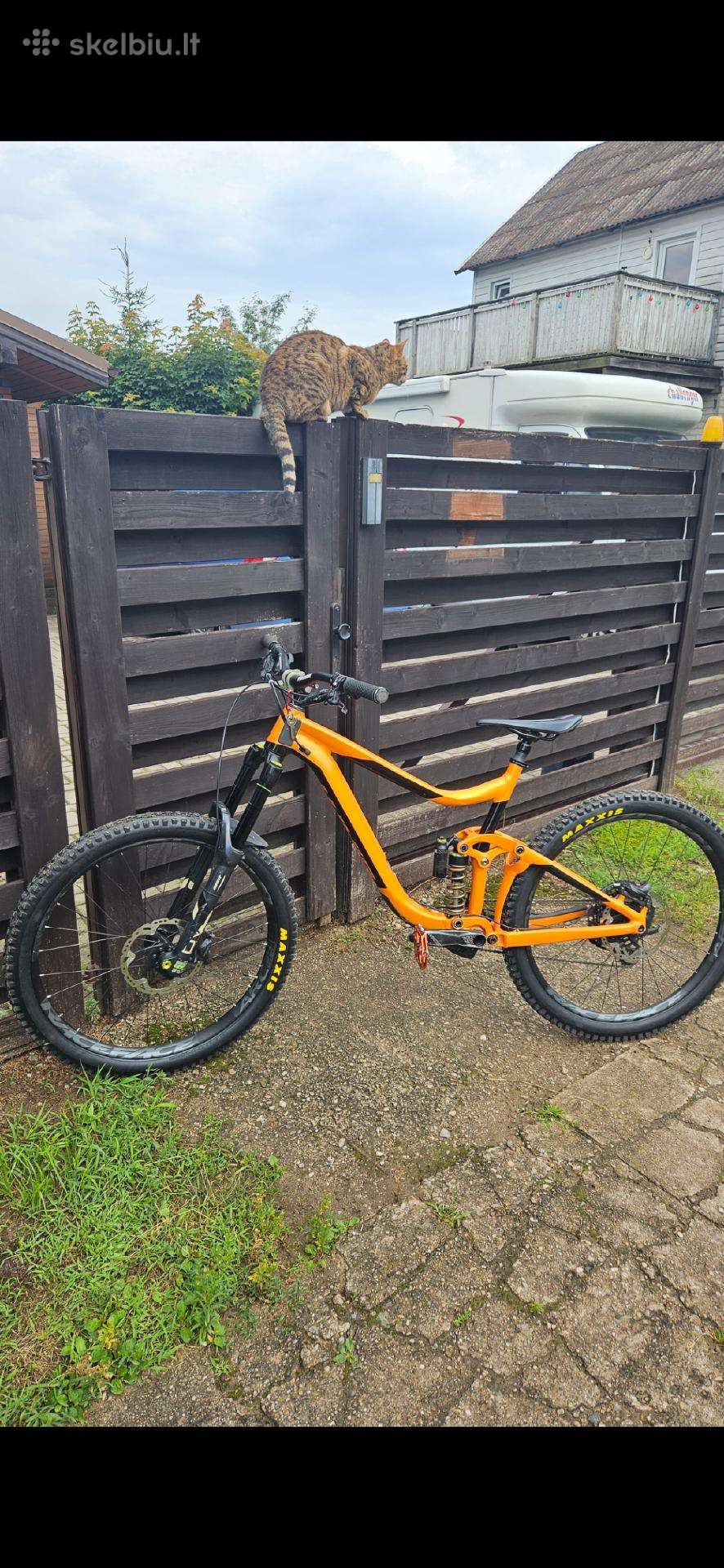 Giant reign 1 2019 Kalnų dviratis