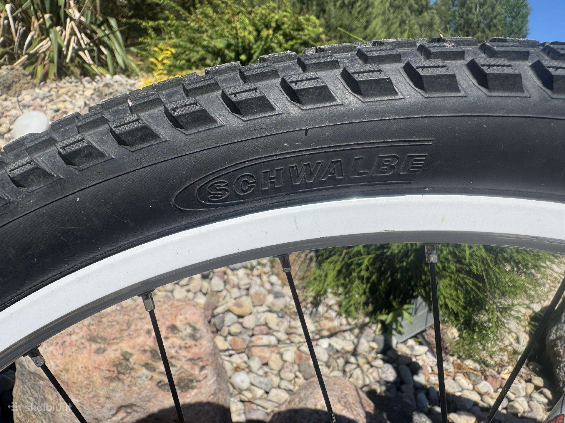Kalnų dviratis Scott 26″