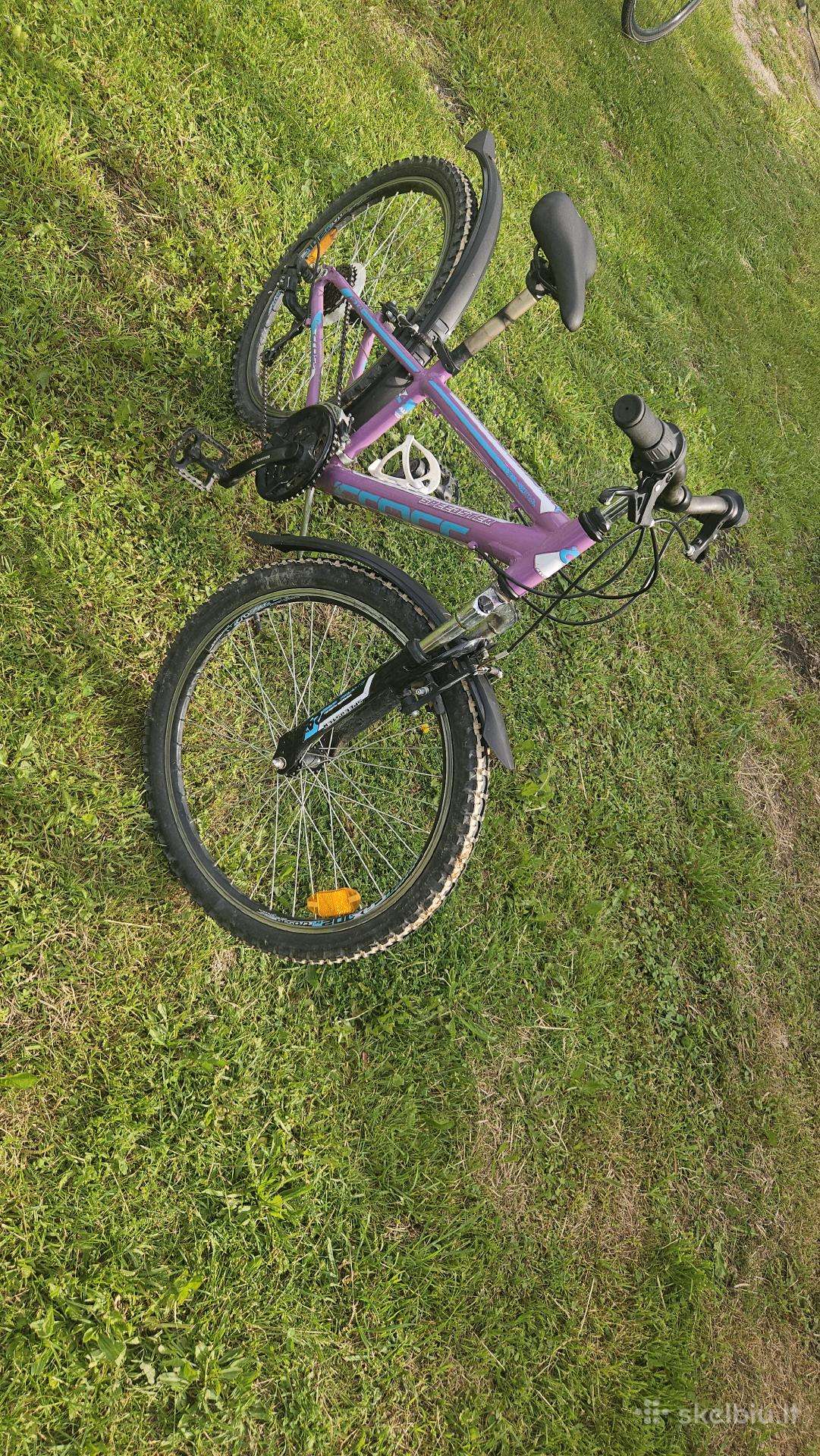 Kid bike -Kita- 24″