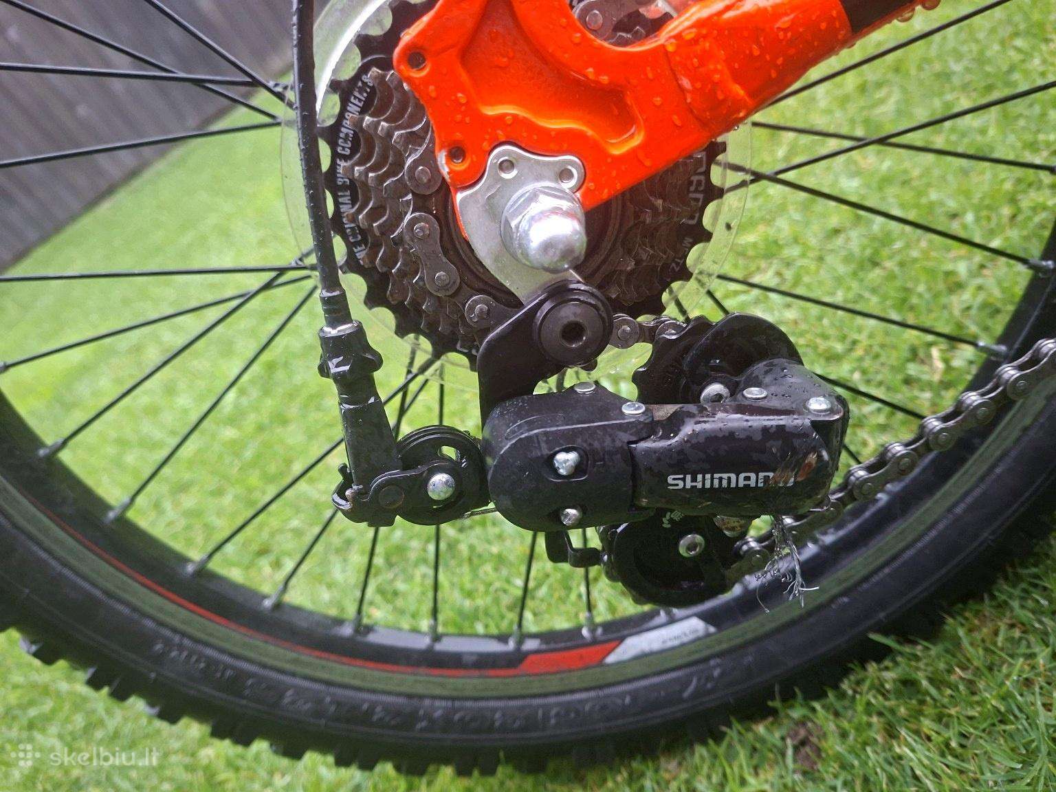 Kid bike Focus 20″