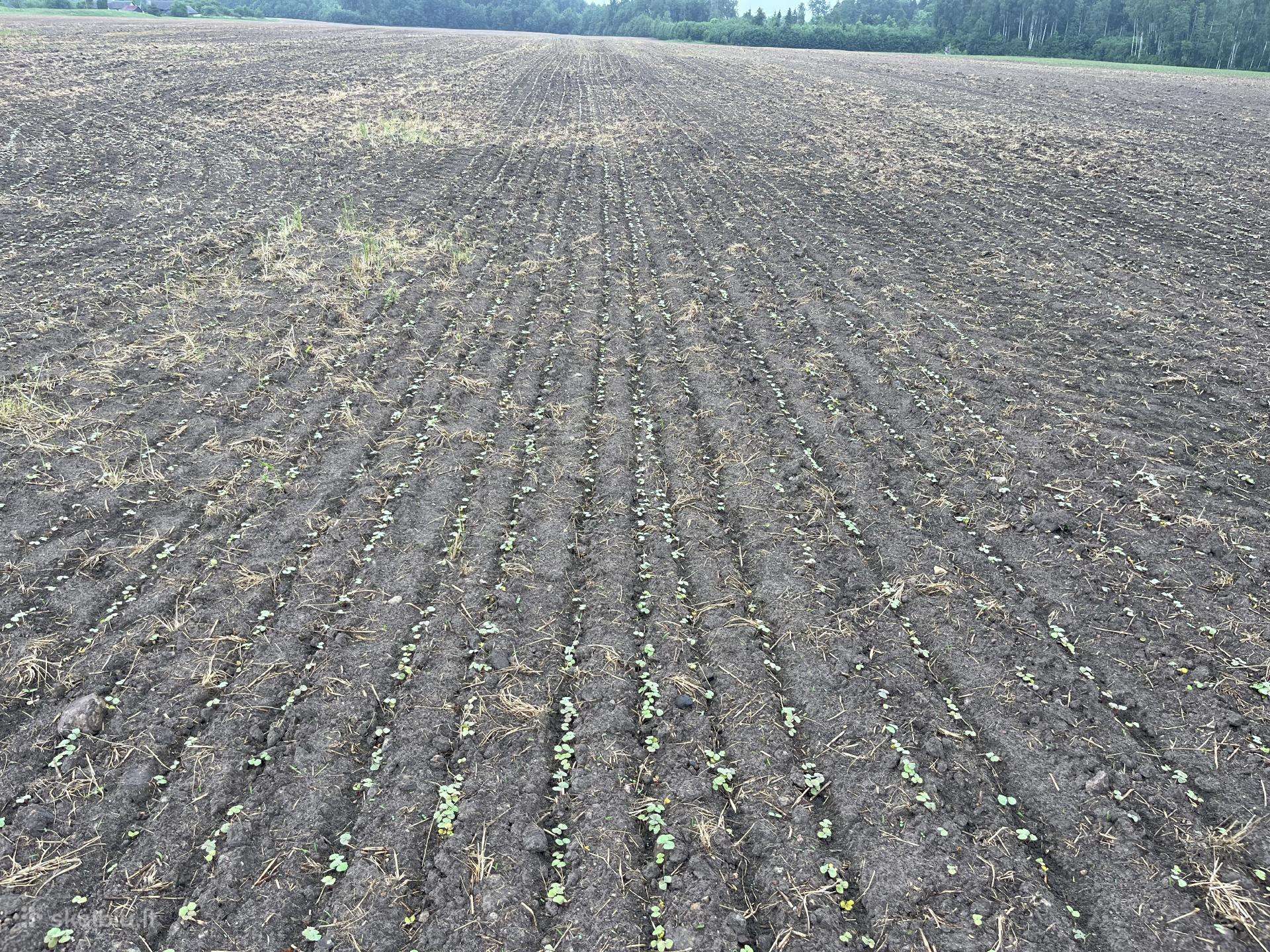 Claas, прессы