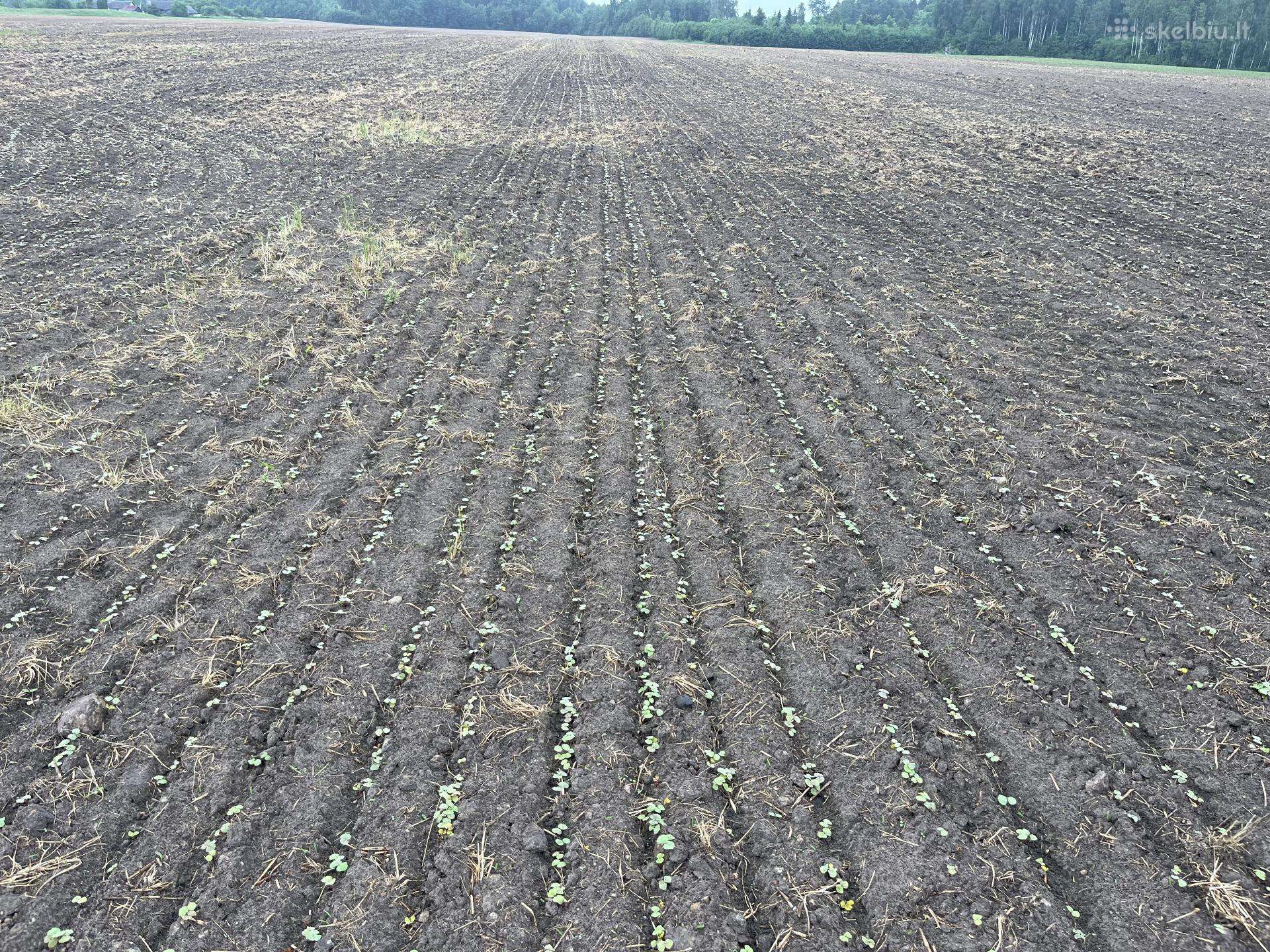Claas, rakes