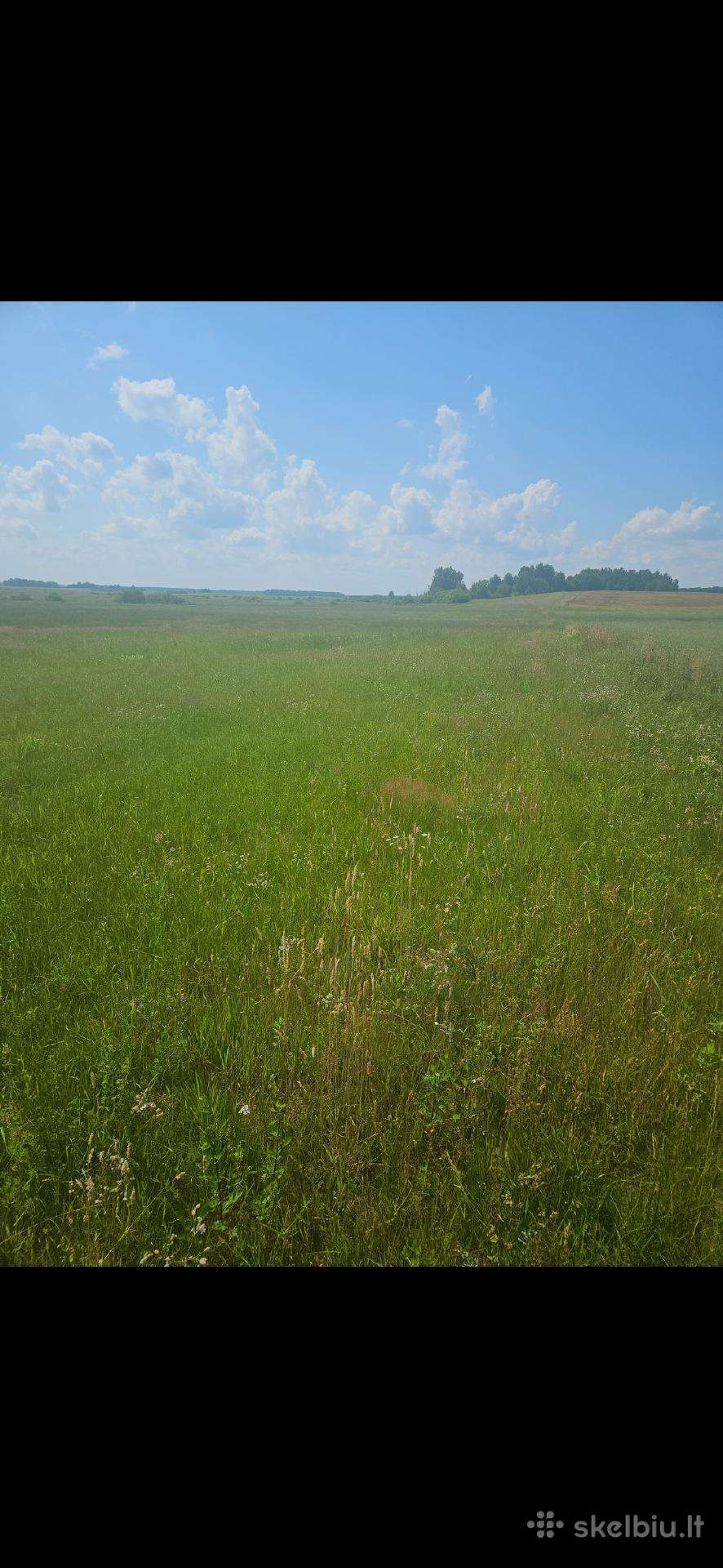 7.2 ha dirbama zeme, netoli Raudenu k, po 4900/ha