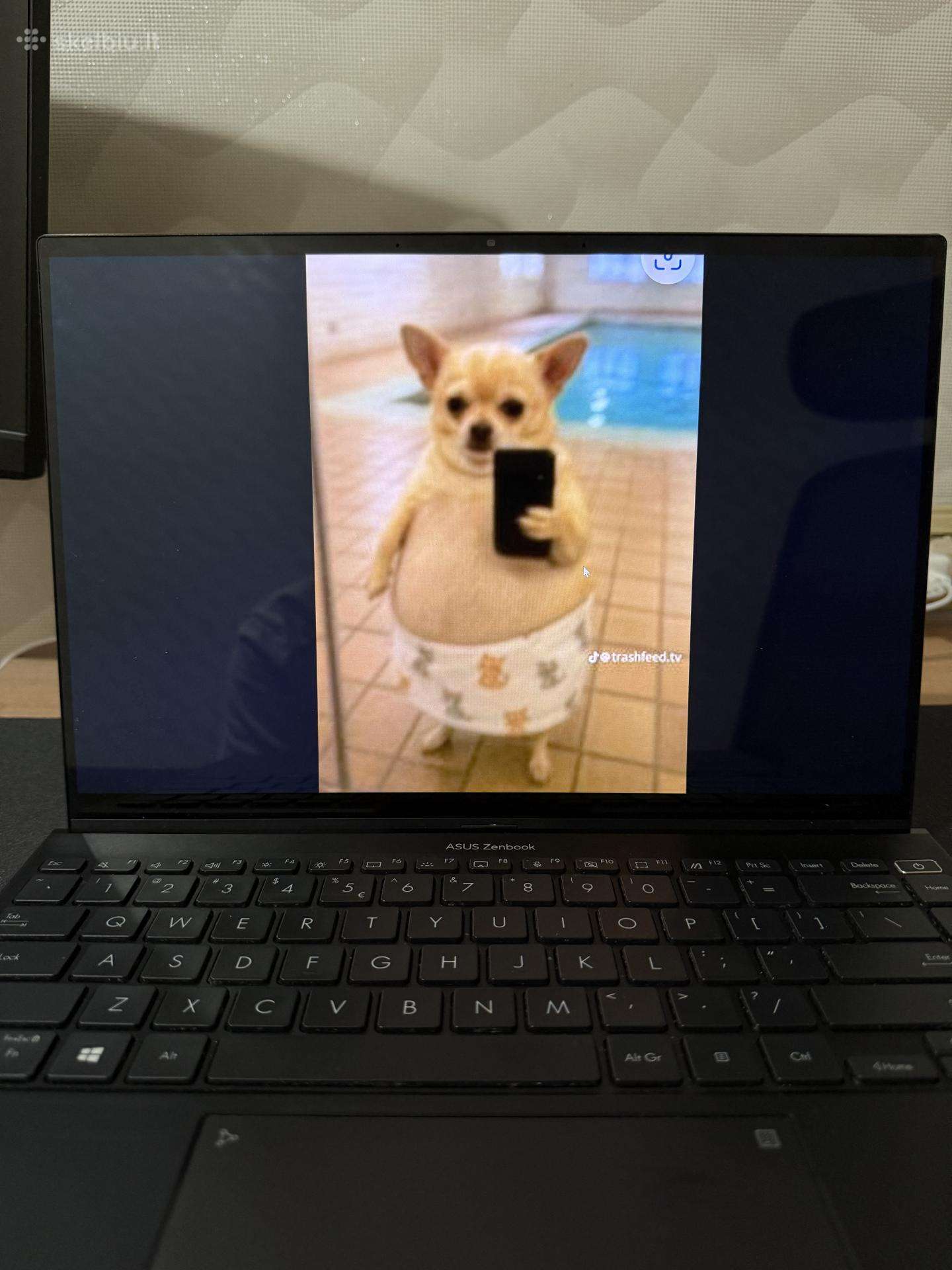 Asus Zenbook 14x Oled