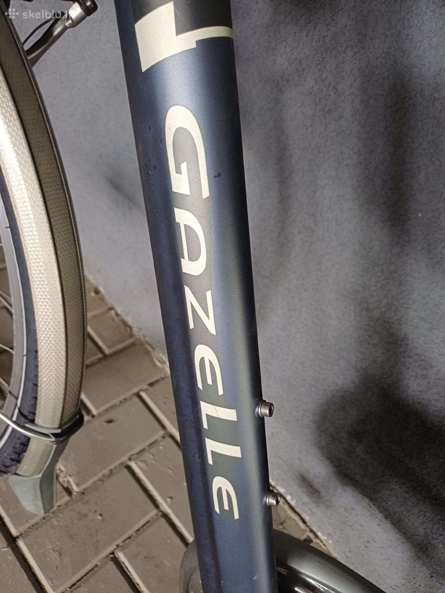Gazelle Medeo