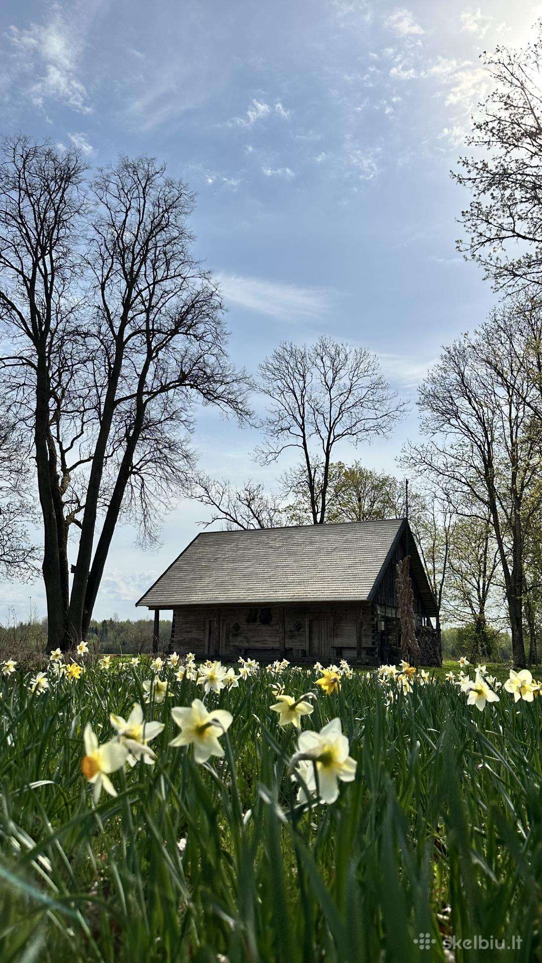 Skiedrinių Stogų Dengimas Visoje Lietuvoje