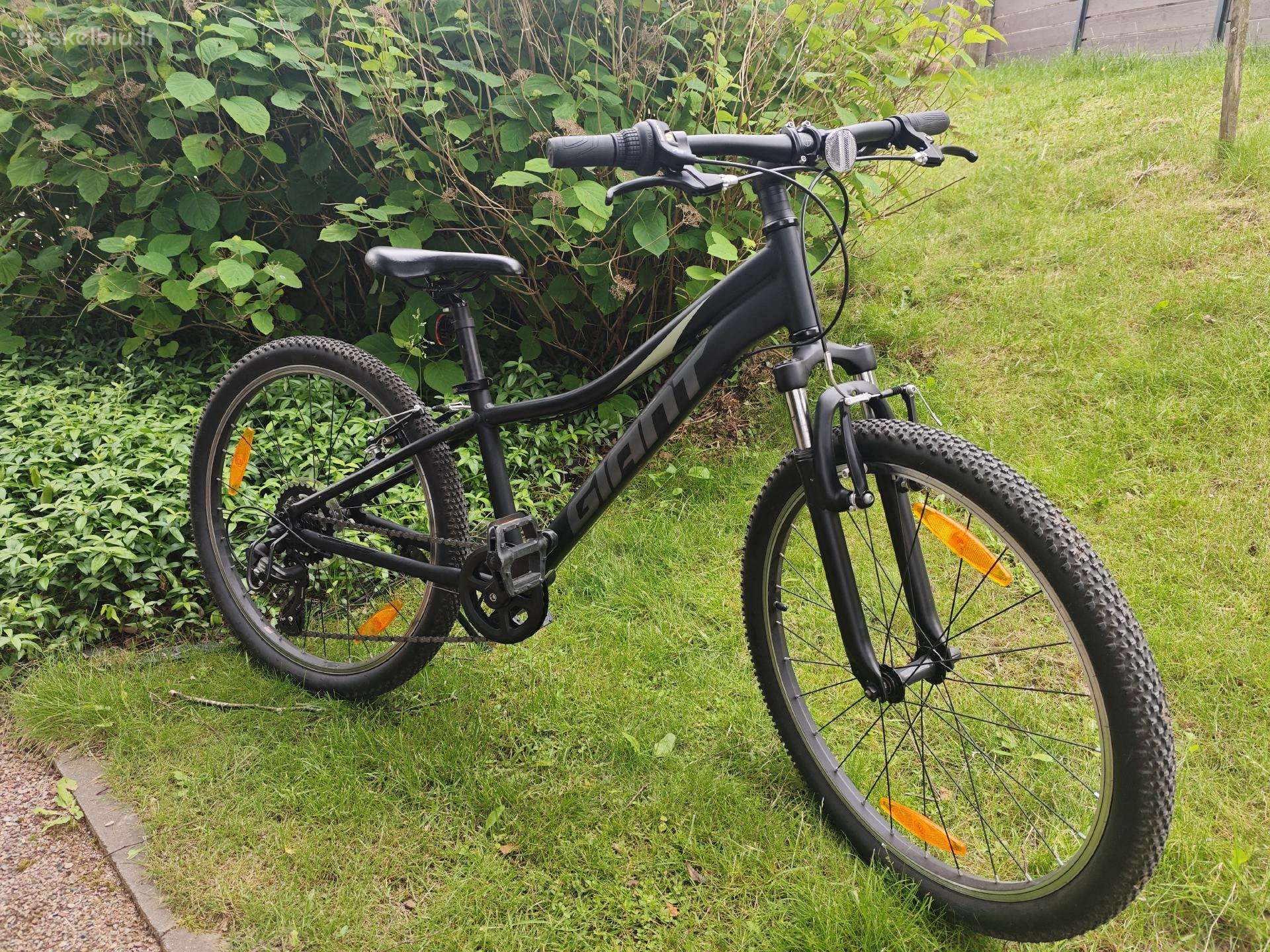 Vaikiškas dviratis Giant Xtc24