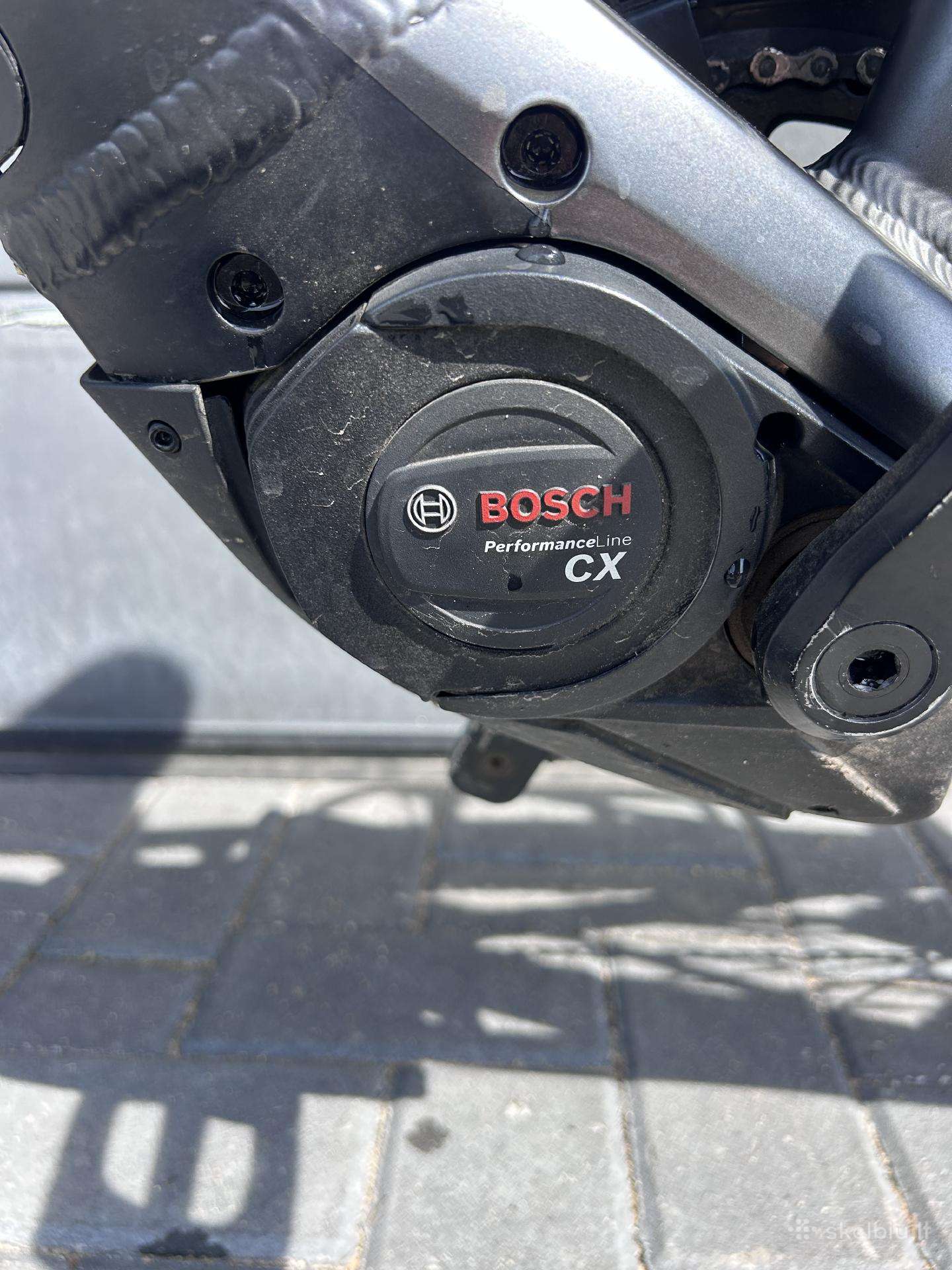 Electric bike Pegasus