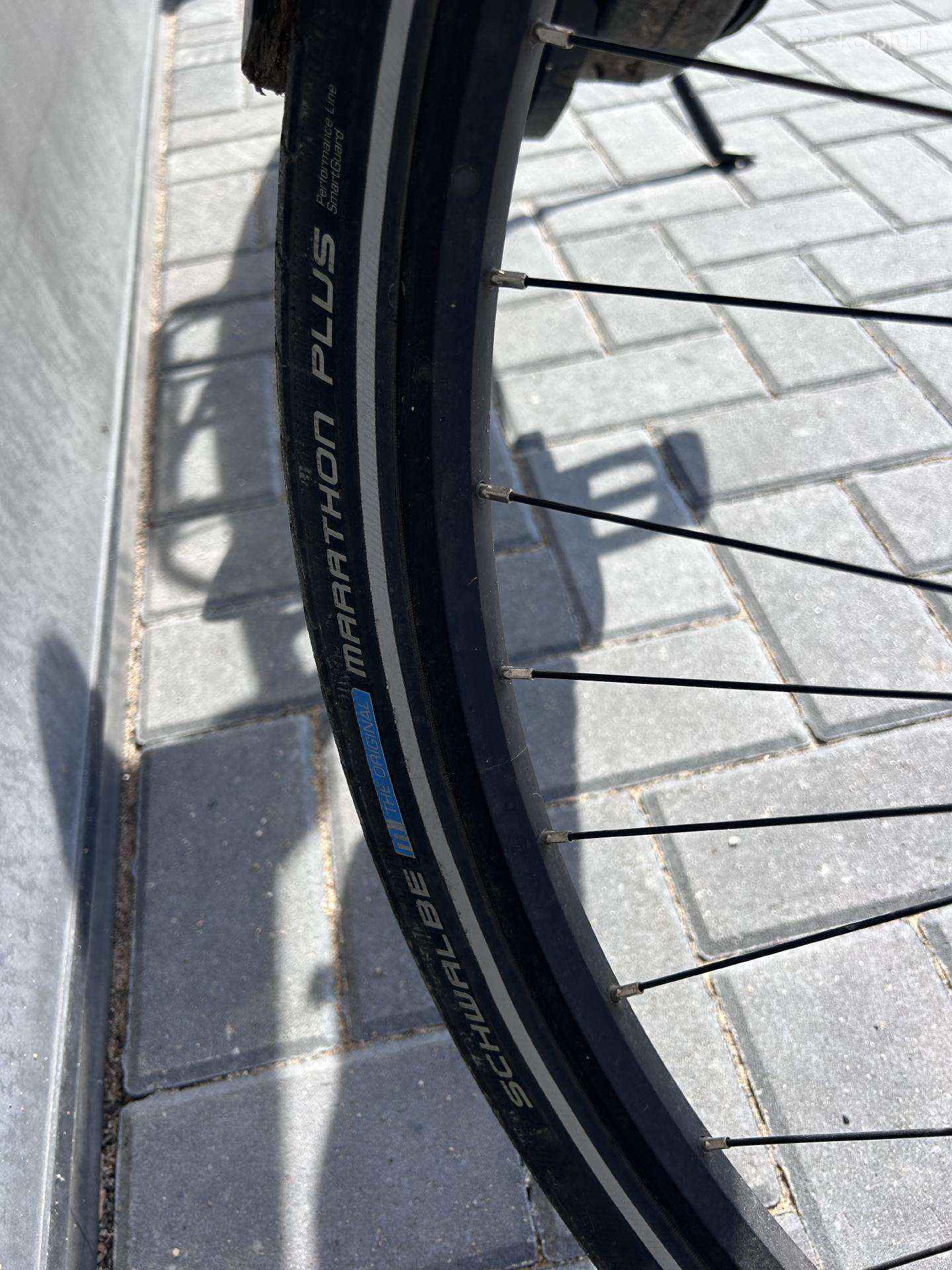Electric bike Pegasus