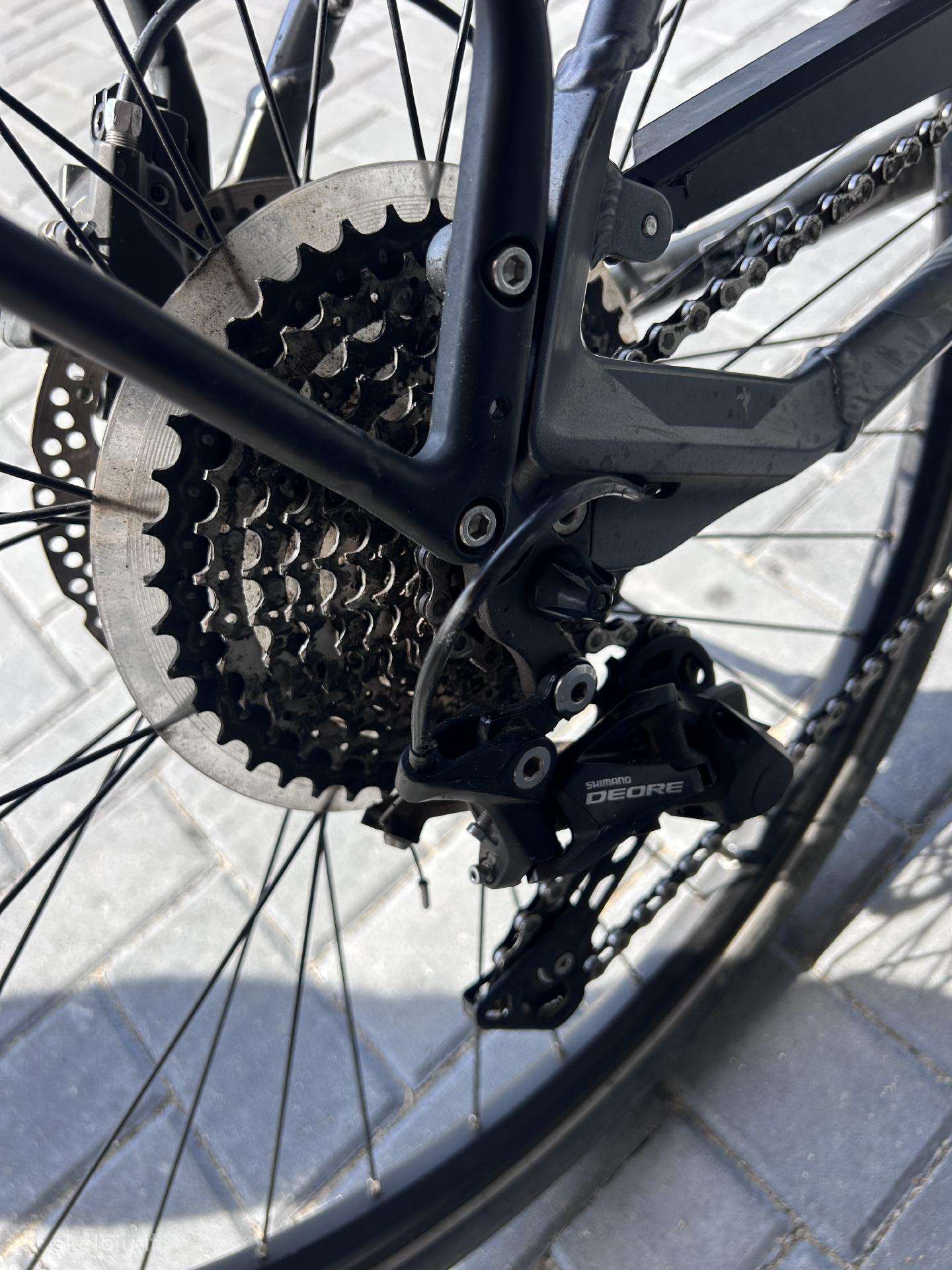 Electric bike Pegasus