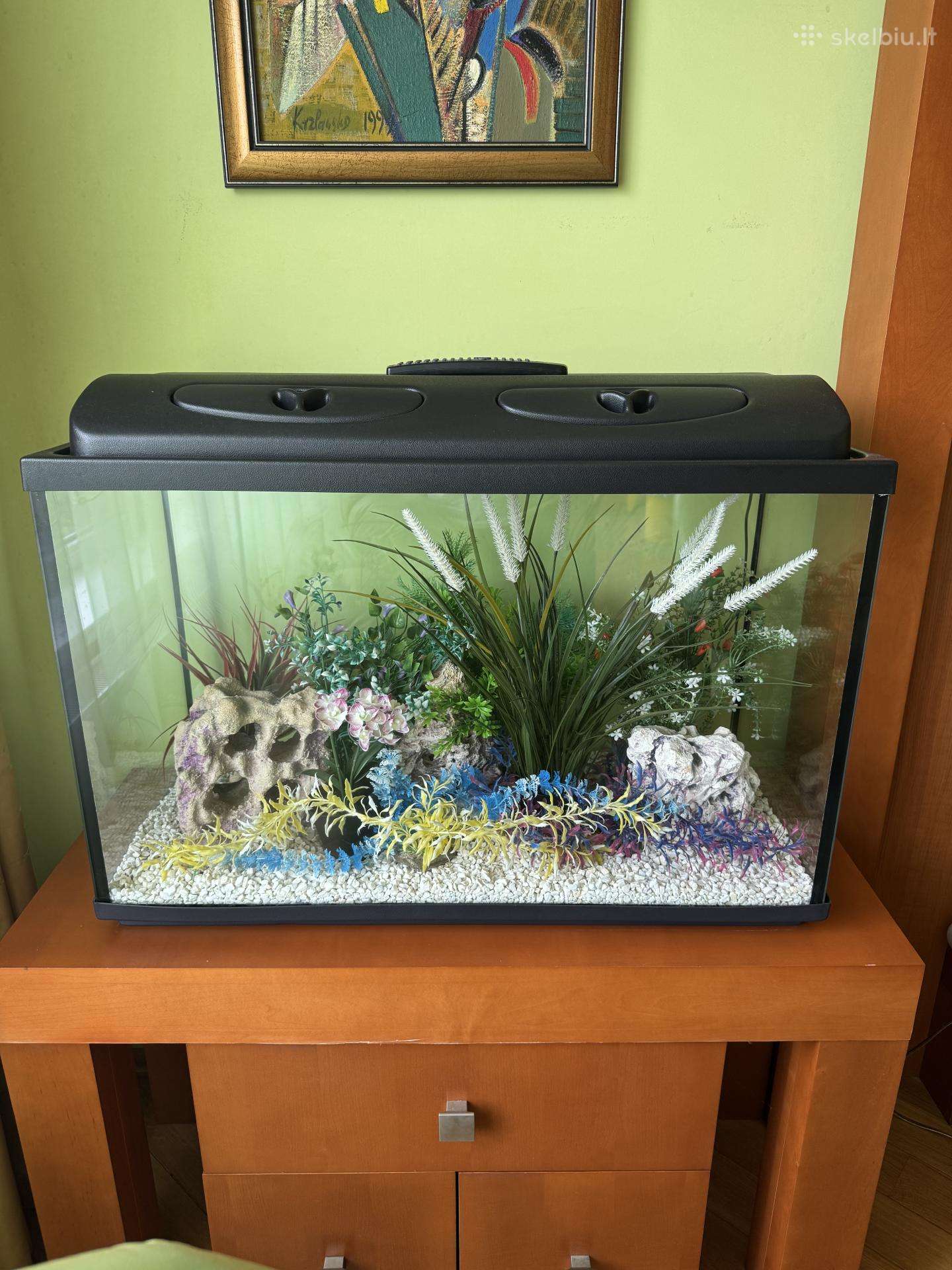 Akvariumas