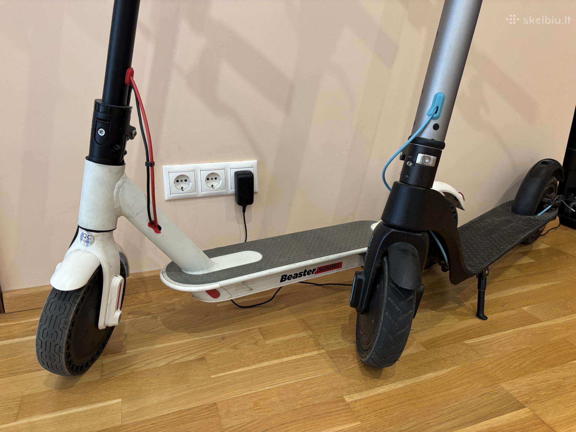 Electric scooter Beaster Scooter