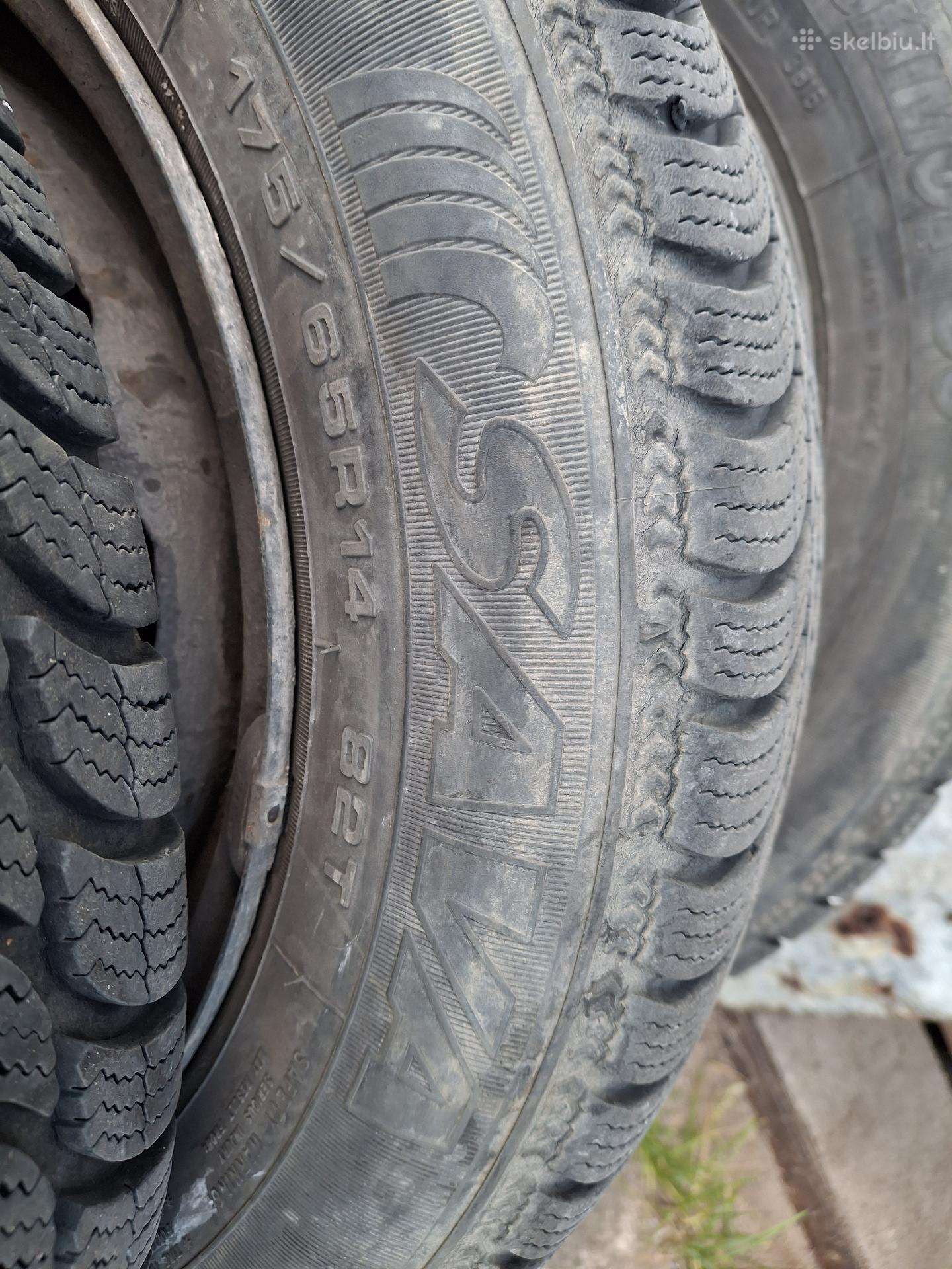 Sava, winter 175/65 R14