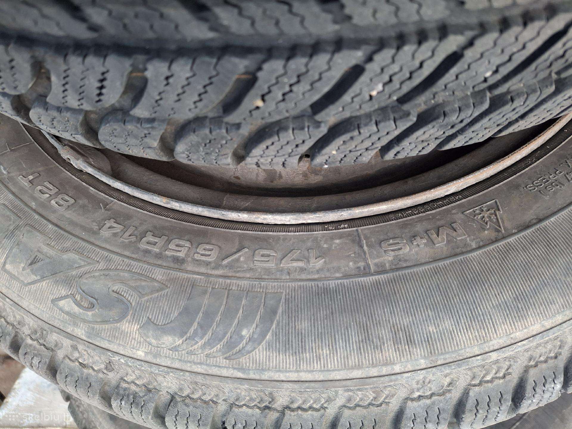 Sava, winter 175/65 R14