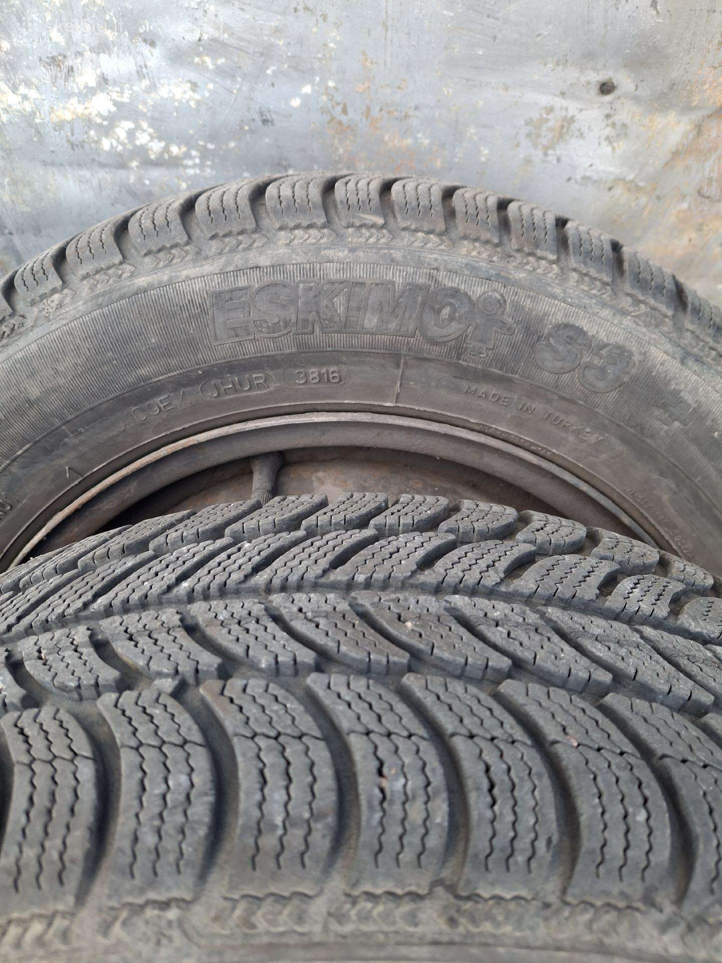 Sava, winter 175/65 R14