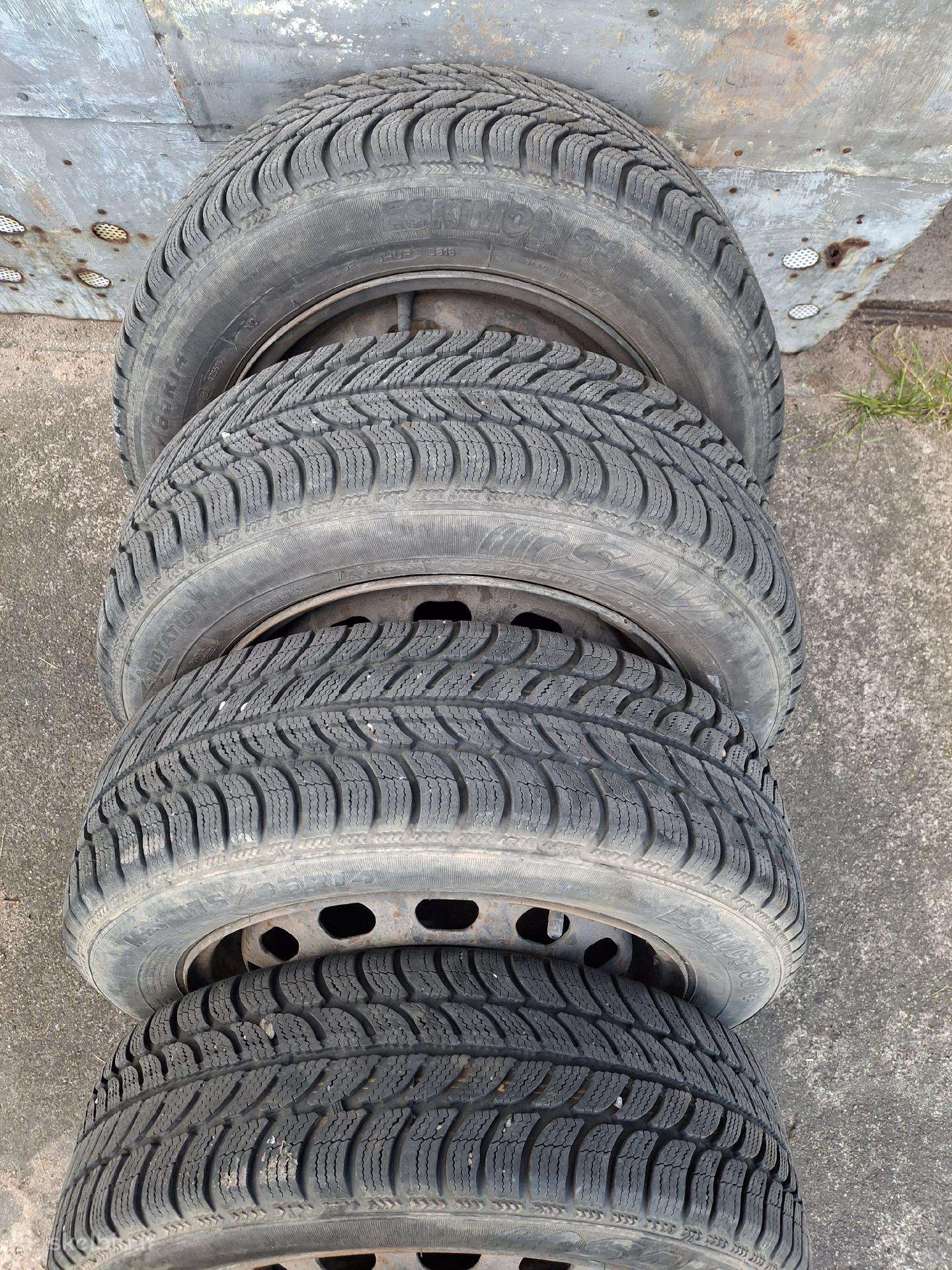 Sava, winter 175/65 R14