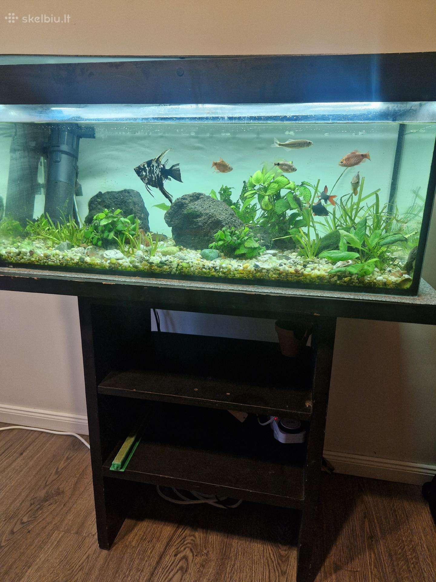 Parduodu 120 ltr akvariuma