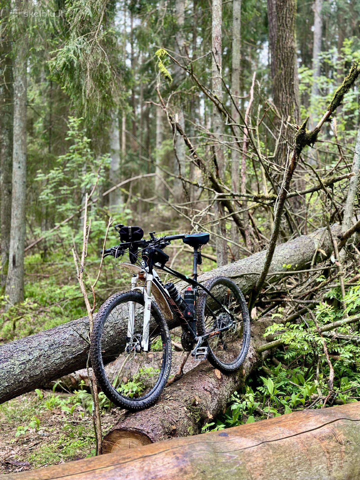 KTM XT, rockshox, tubeless. L