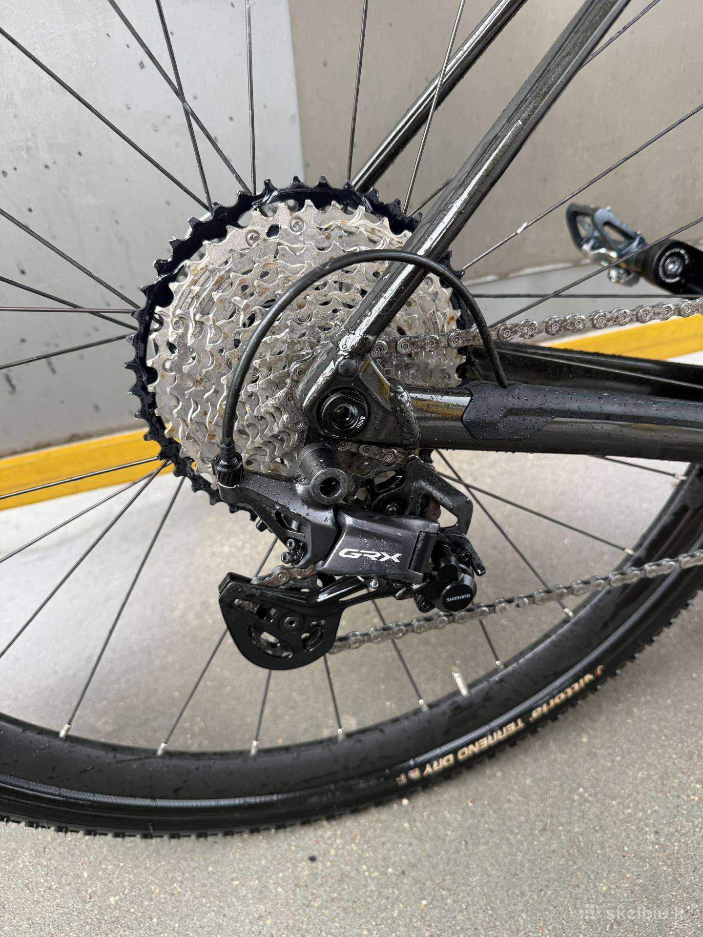 Other bike Orbea