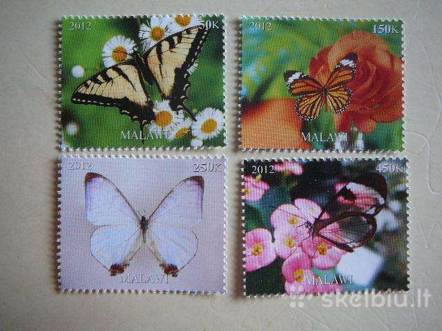 Drugeliai Malavis 2012 svarus r1436