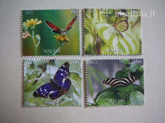 Drugeliai Malavis 2012 svarus r1437