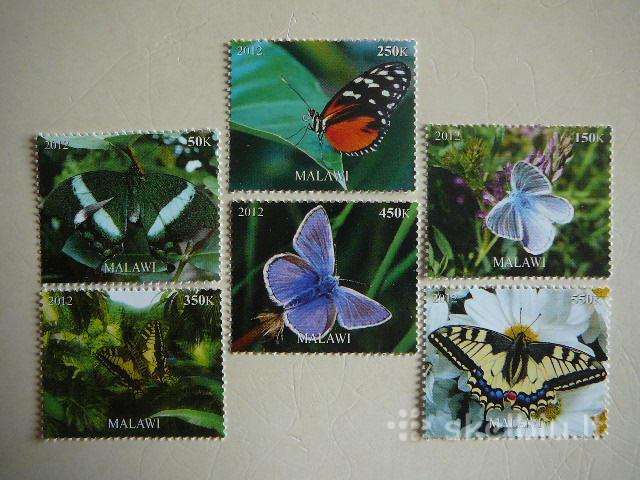 Drugeliai Malavis 2012 svarus r1439