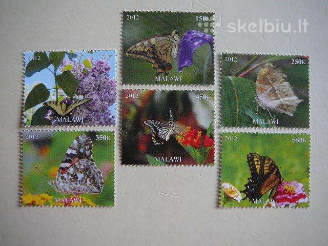 Drugeliai Malavis 2012 svarus r1441