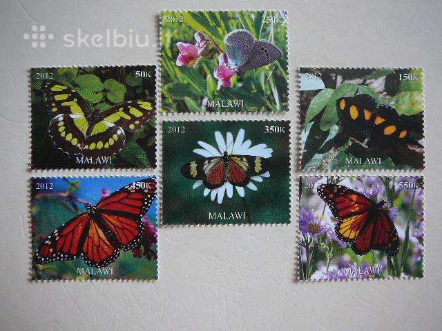 Drugeliai Malavis 2012 svarus r1440