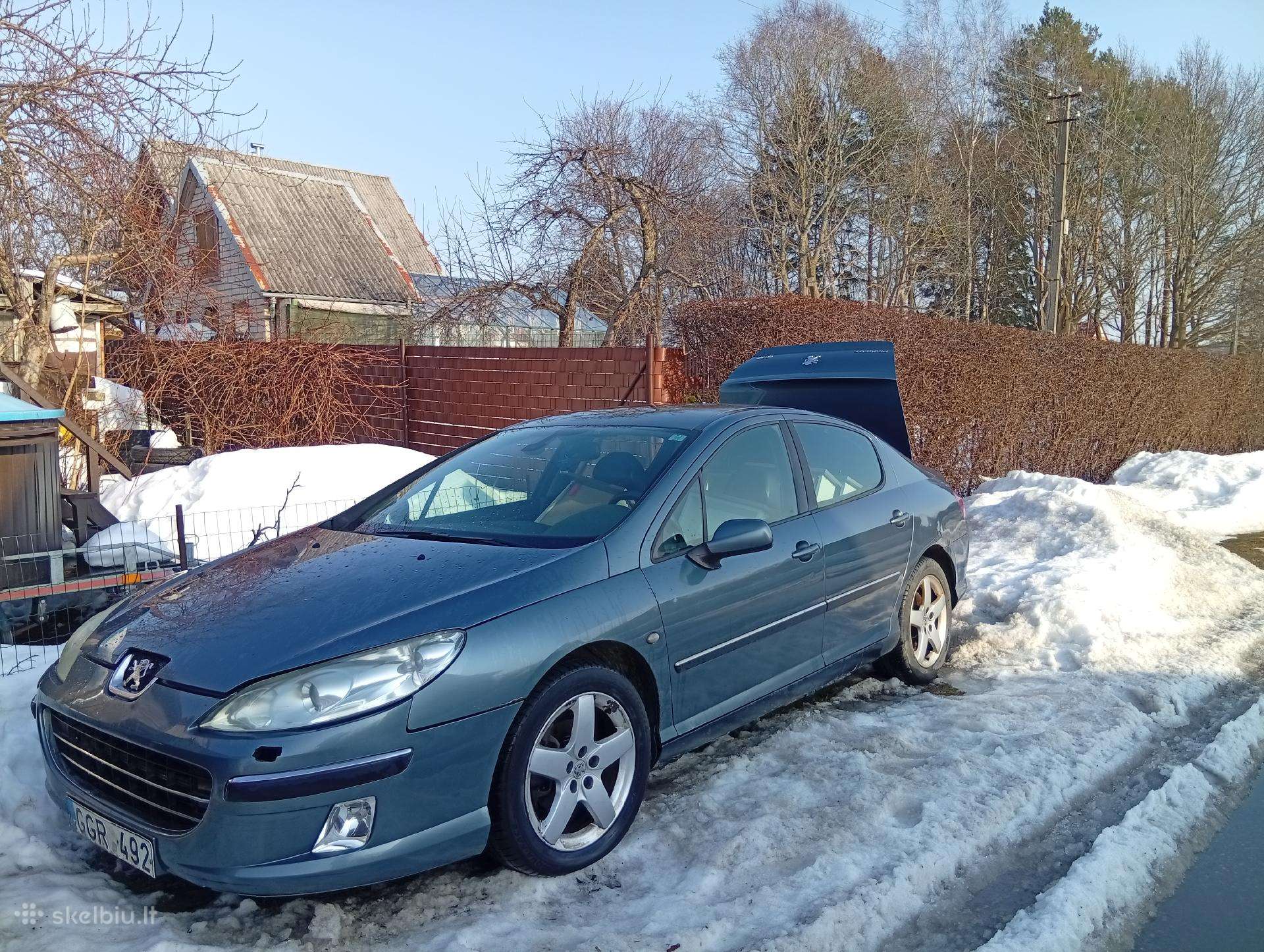 Peugeot 407 dalimis