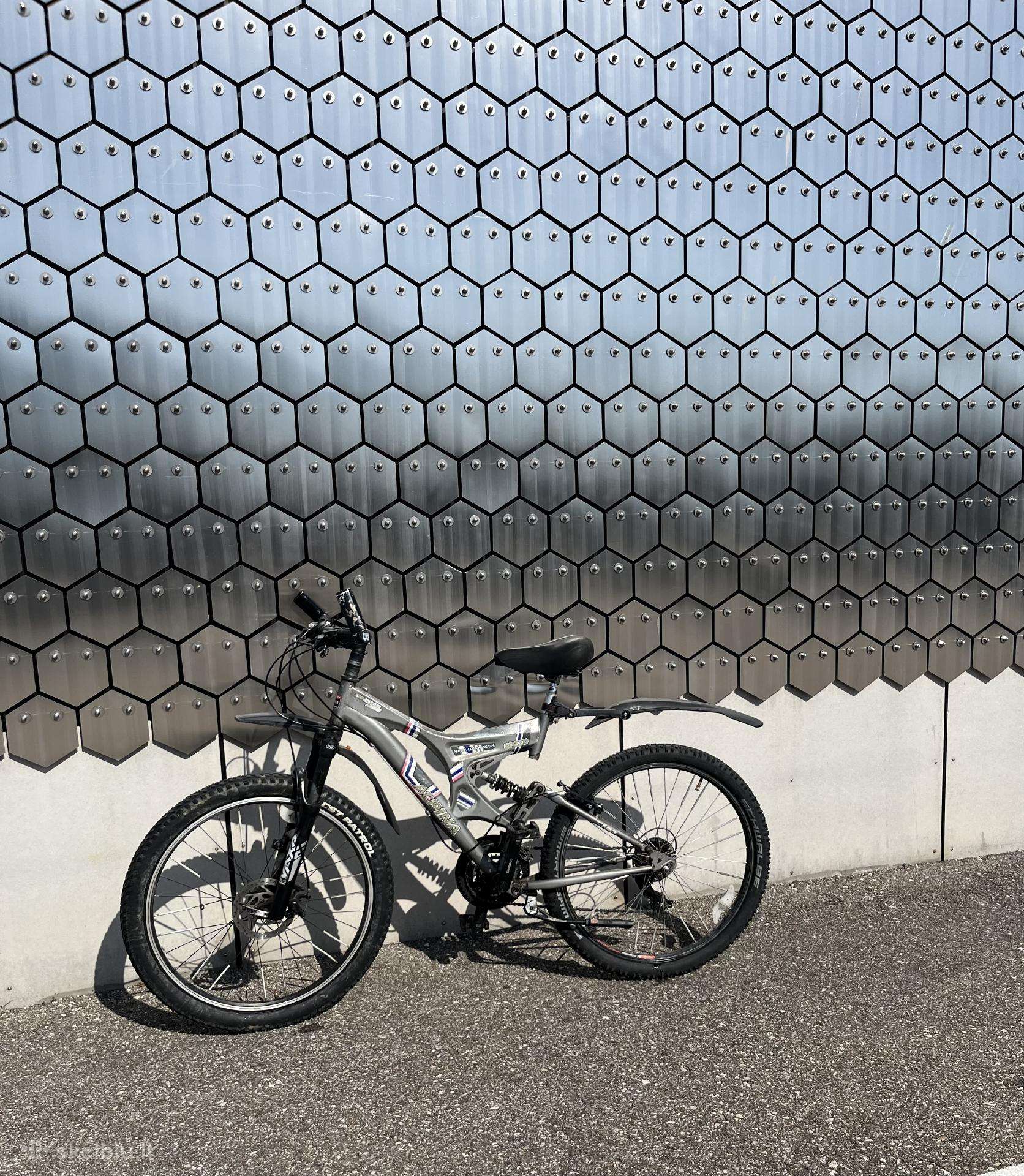 Mountain bike Alpina 26″