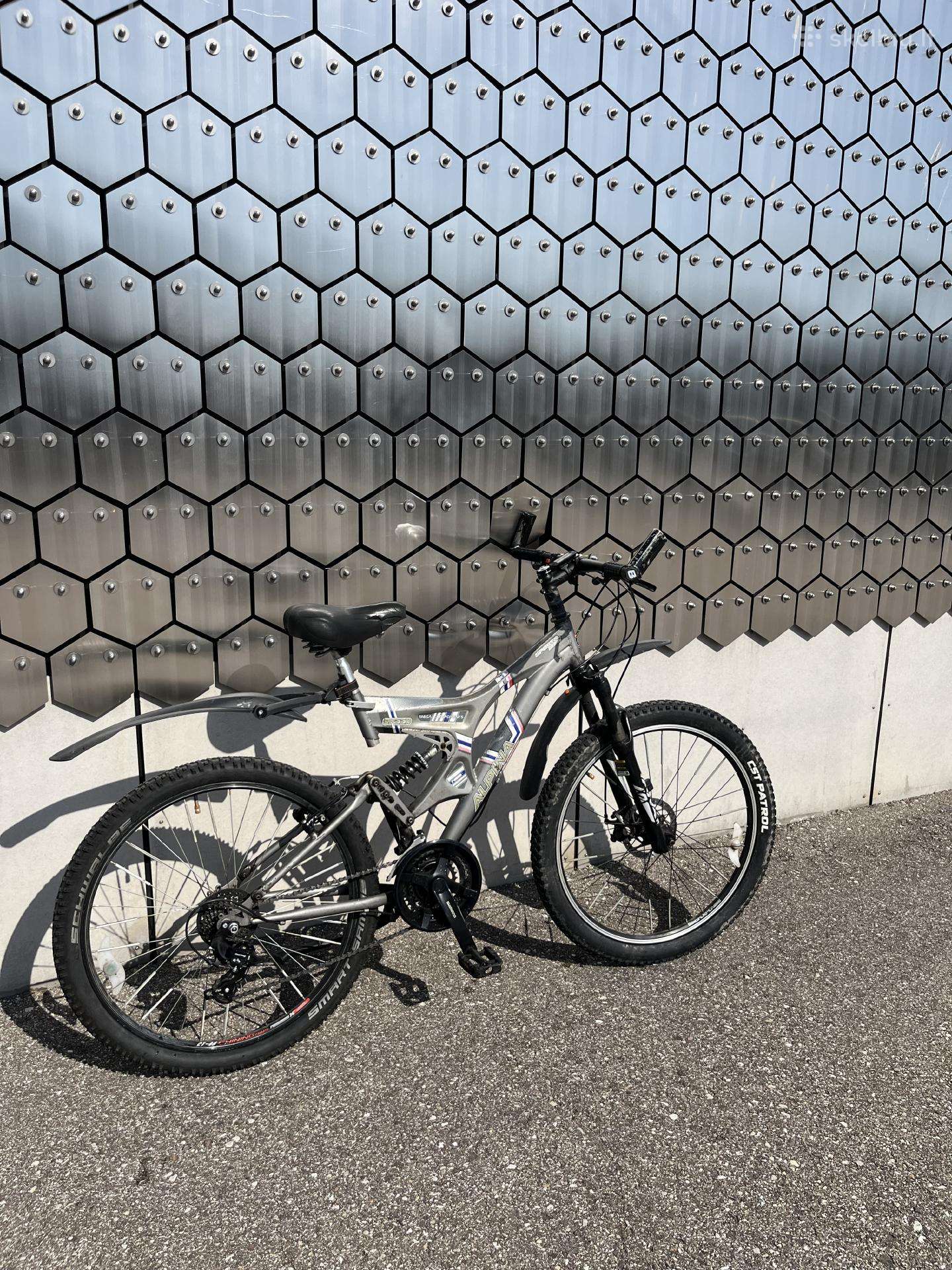 Mountain bike Alpina 26″