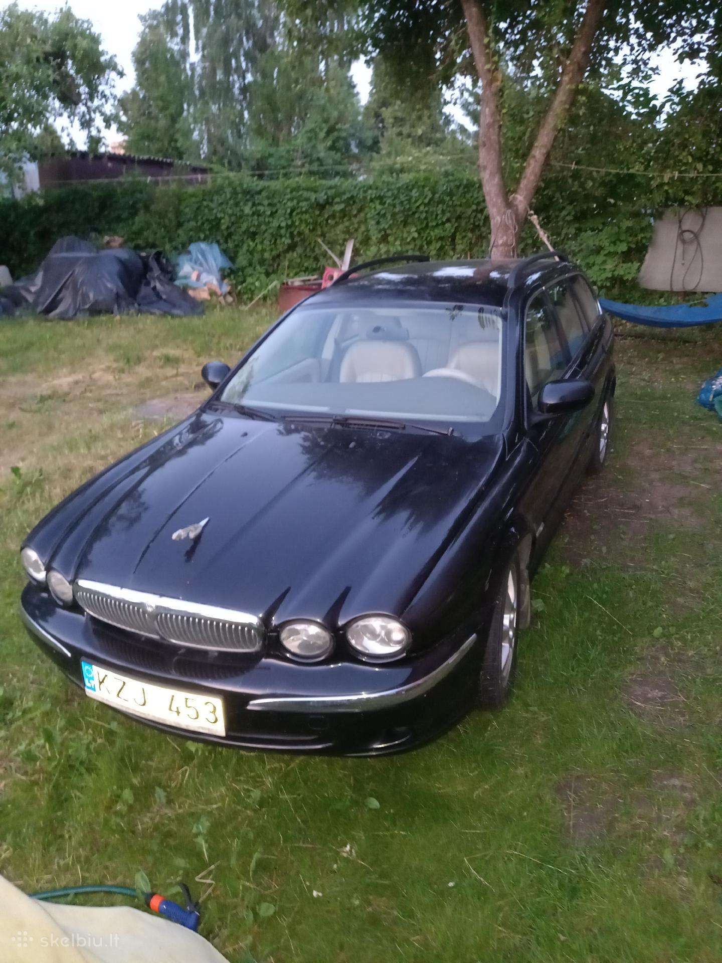 Jaguar