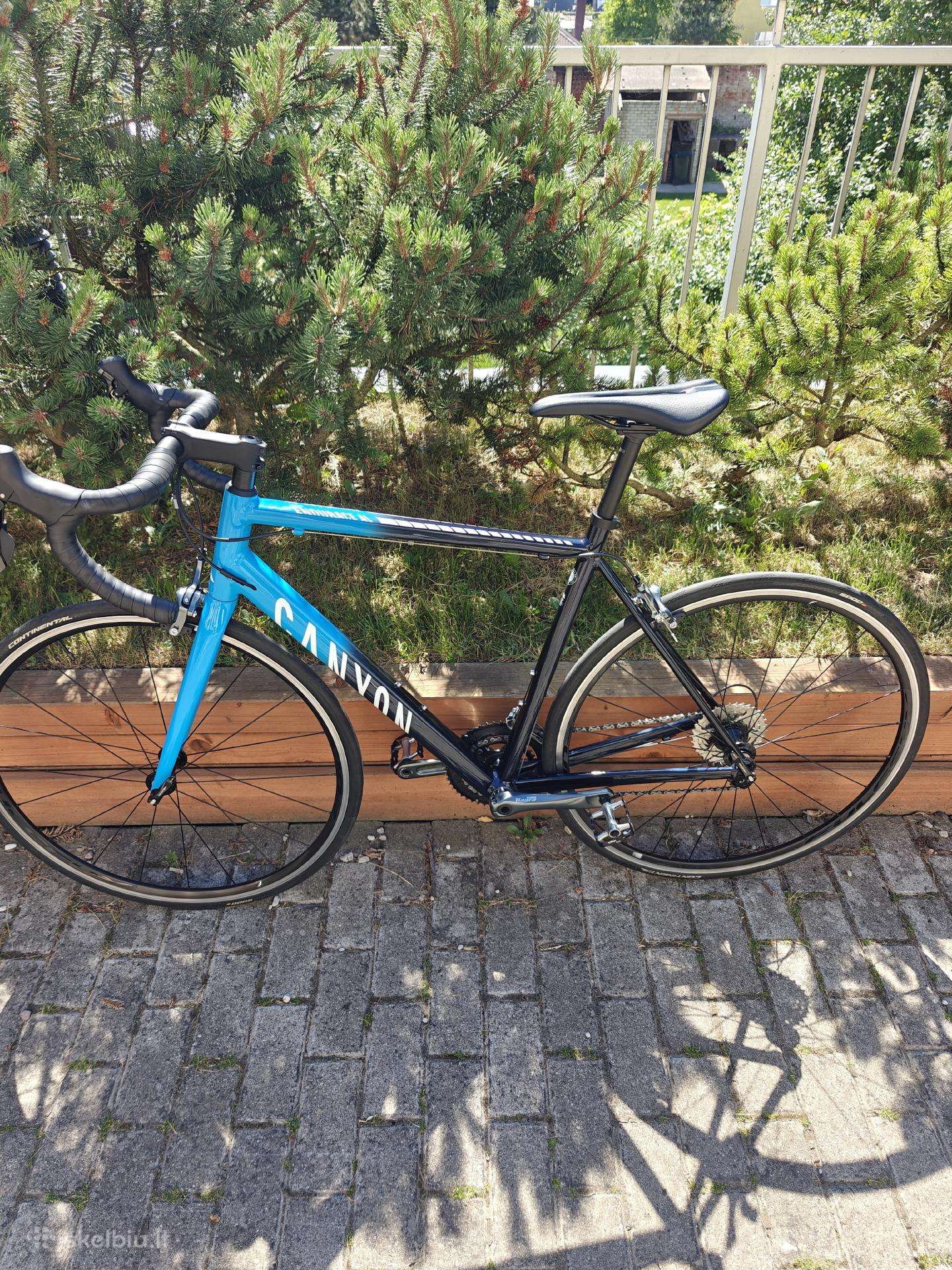 Canyon Endurace 6 AL Rb