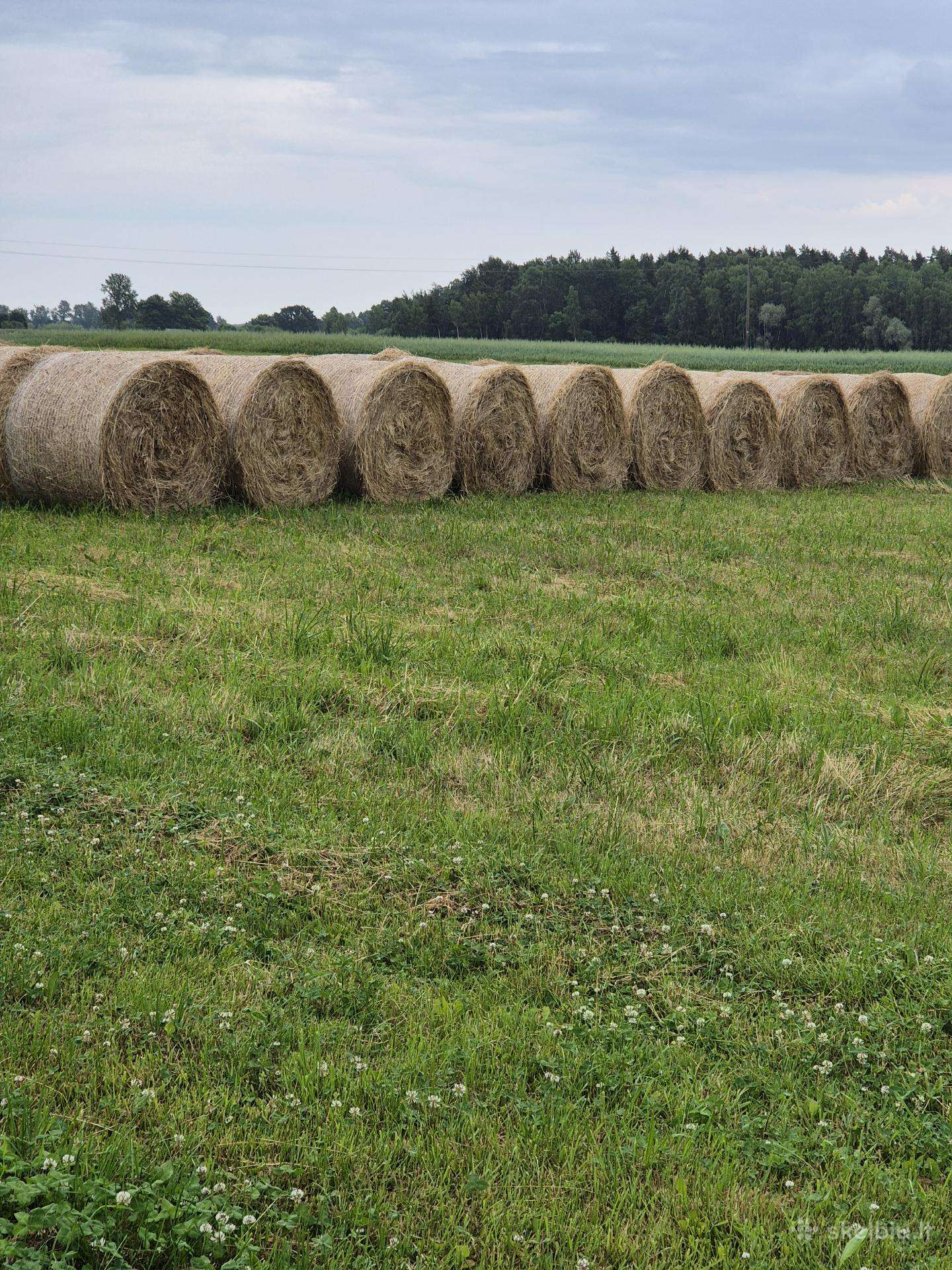 Parduodu šių metų šieno rulonus