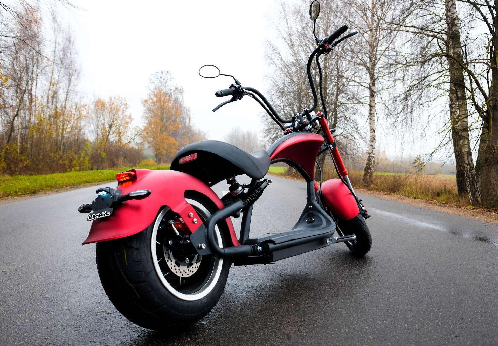 Электрический самокат EKORIDE