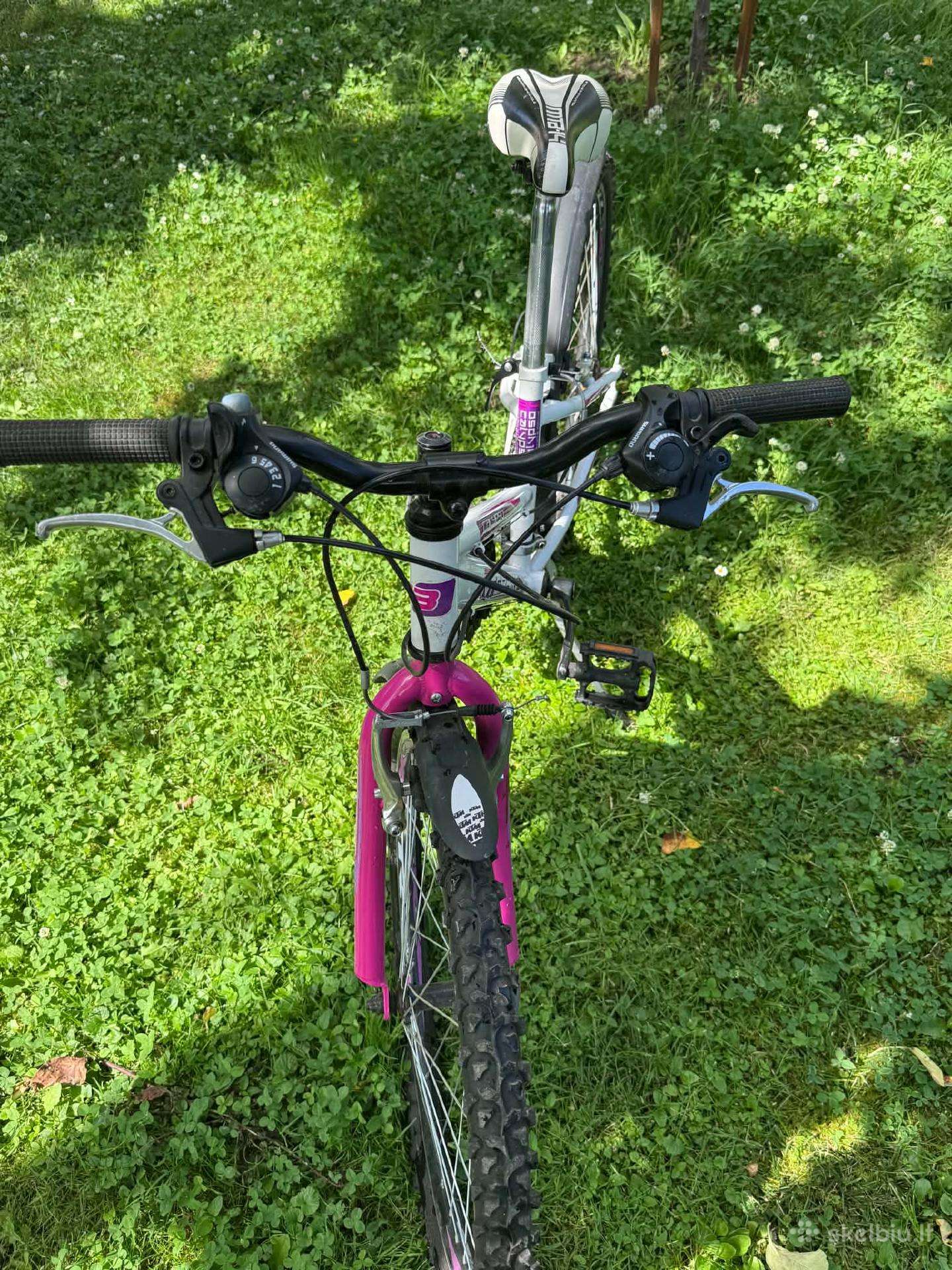 Kid bike Sprint 24″