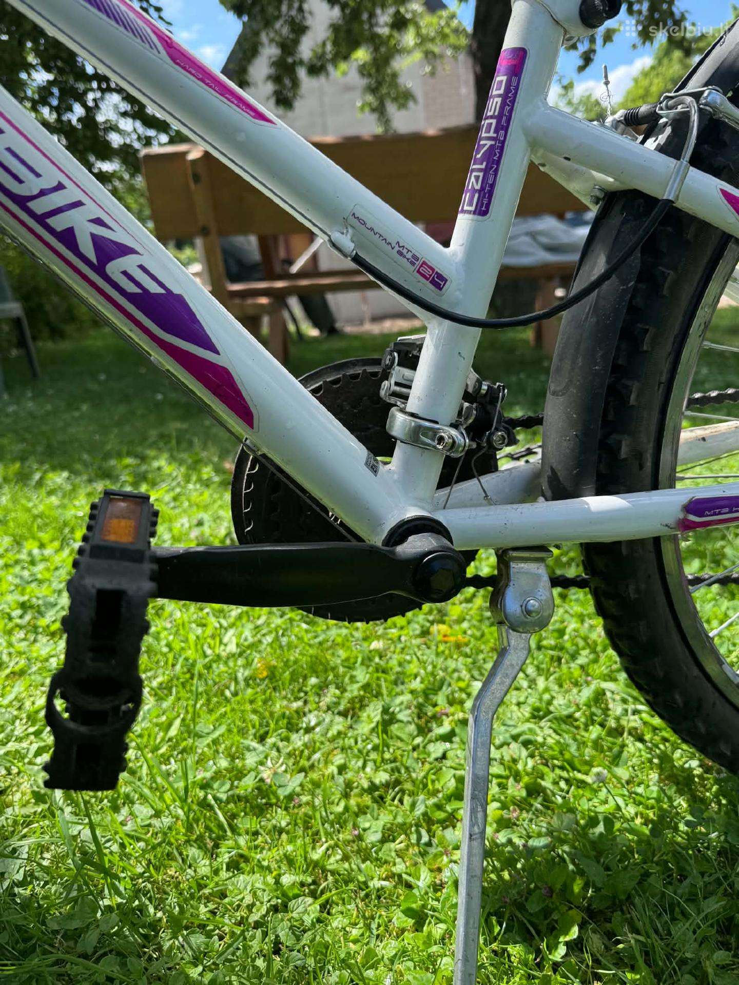 Kid bike Sprint 24″