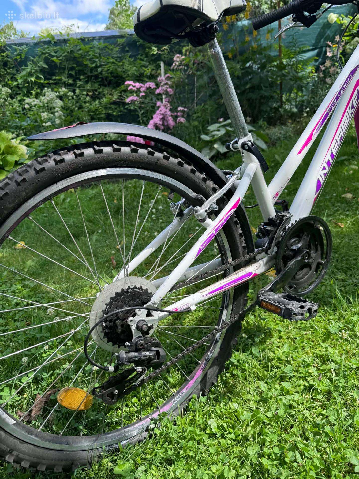 Kid bike Sprint 24″