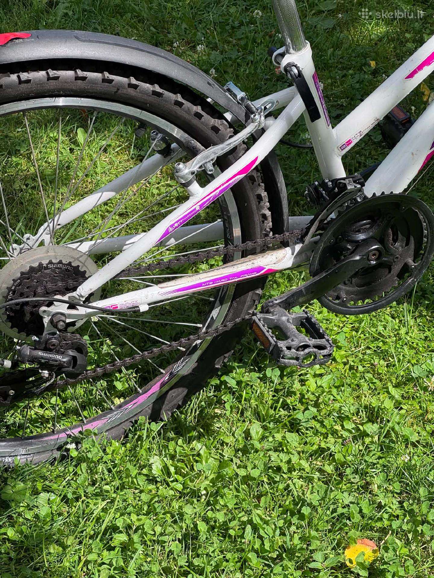 Kid bike Sprint 24″