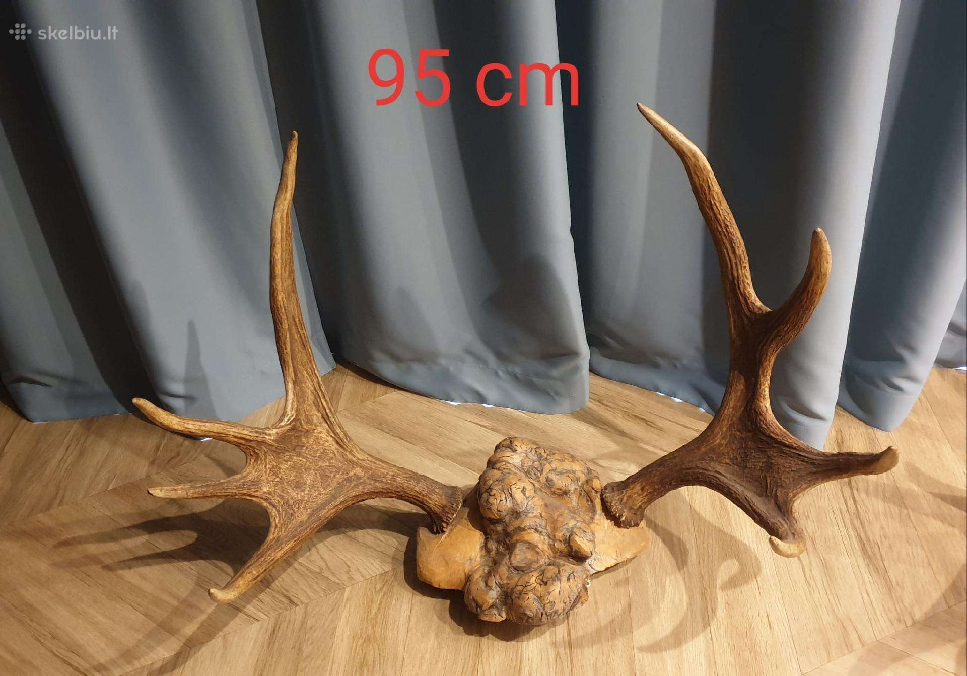 Parduodame: Ragai 95 cm / ( Kaunas) / Galima der