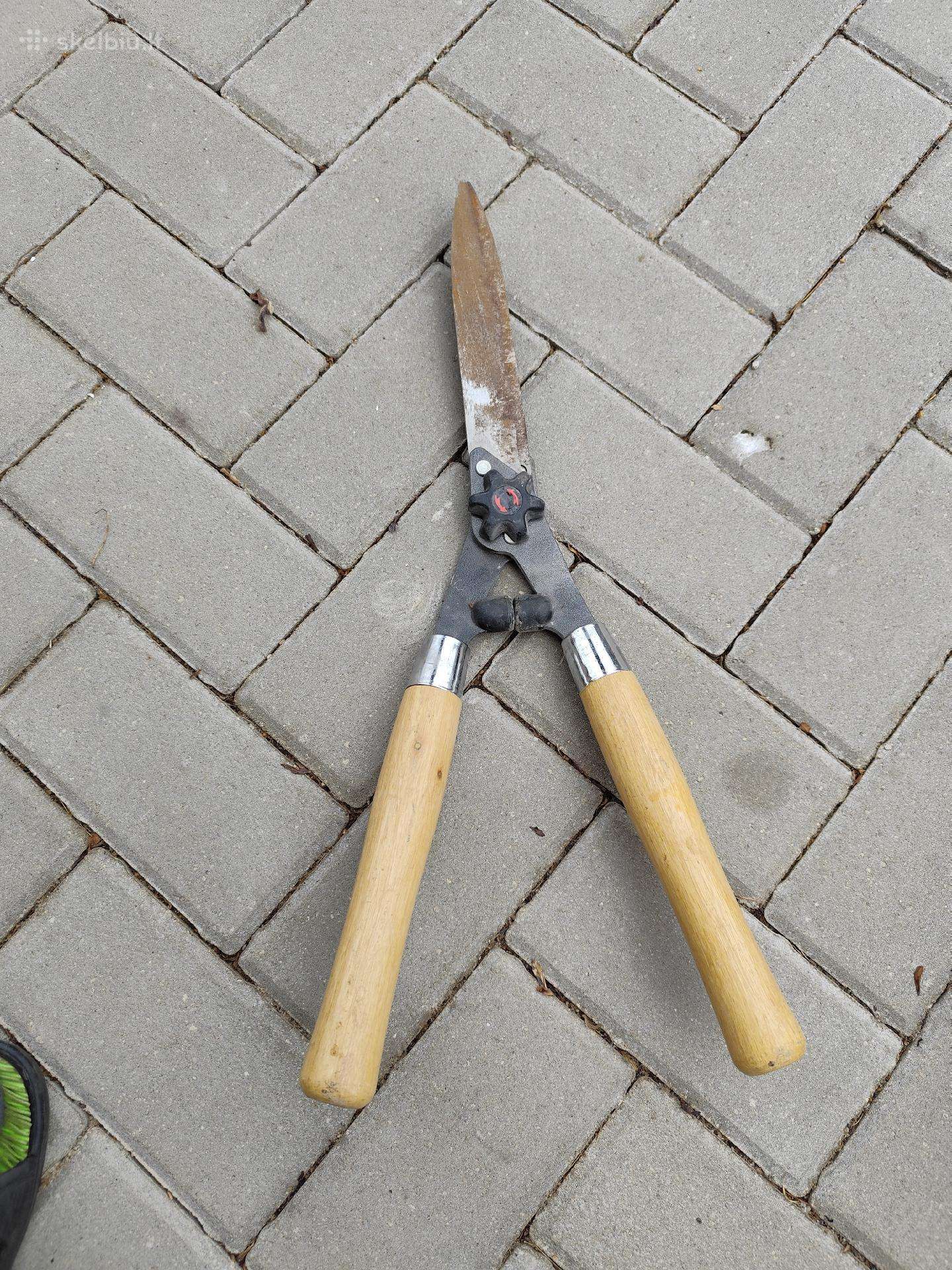 Žirklės