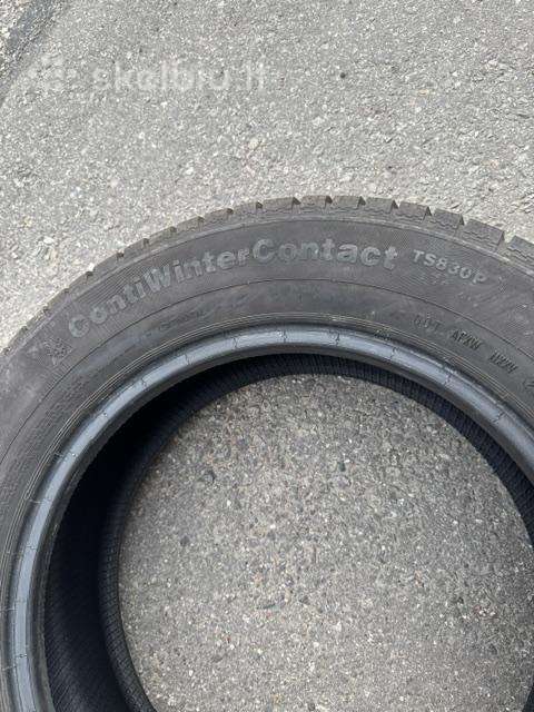Continental, всесезонные 205/60 R16