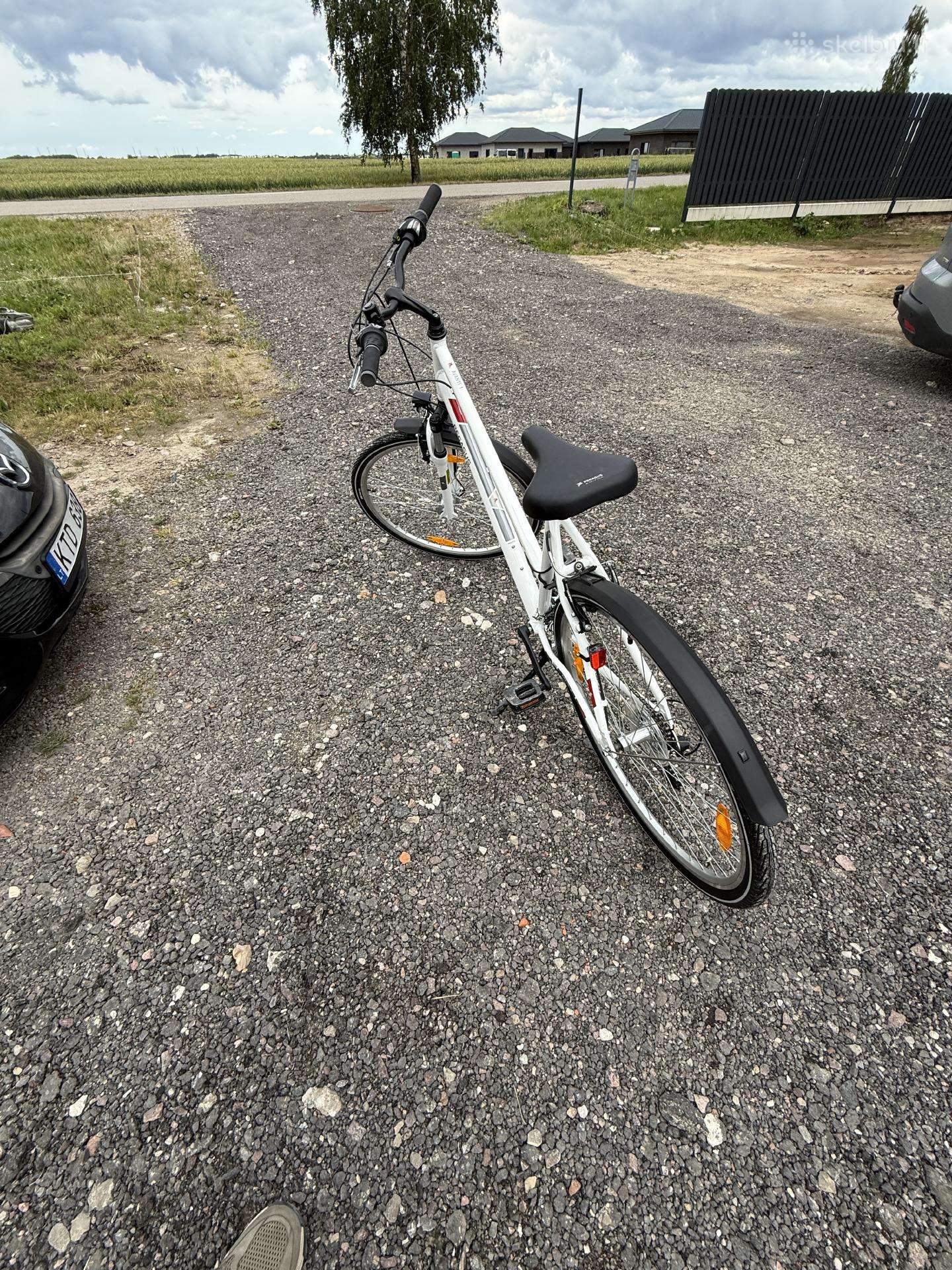 City bike Pegasus