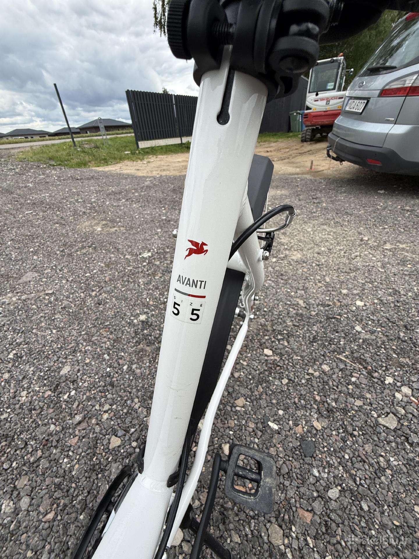 City bike Pegasus