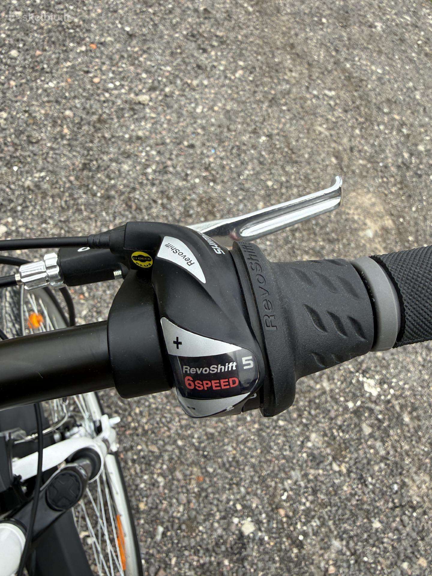 City bike Pegasus