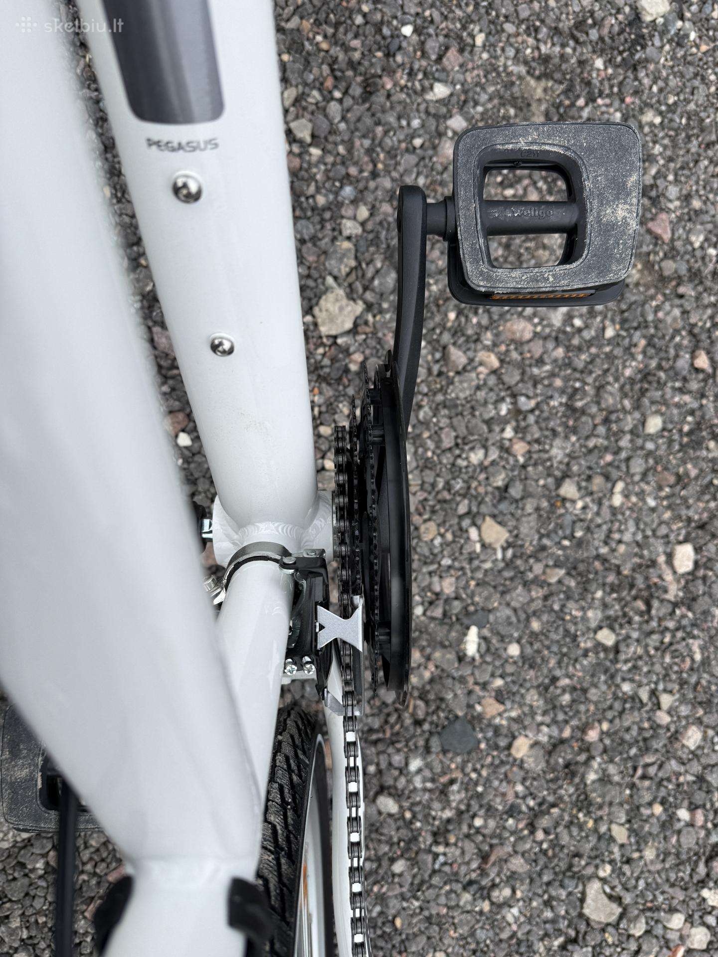 City bike Pegasus