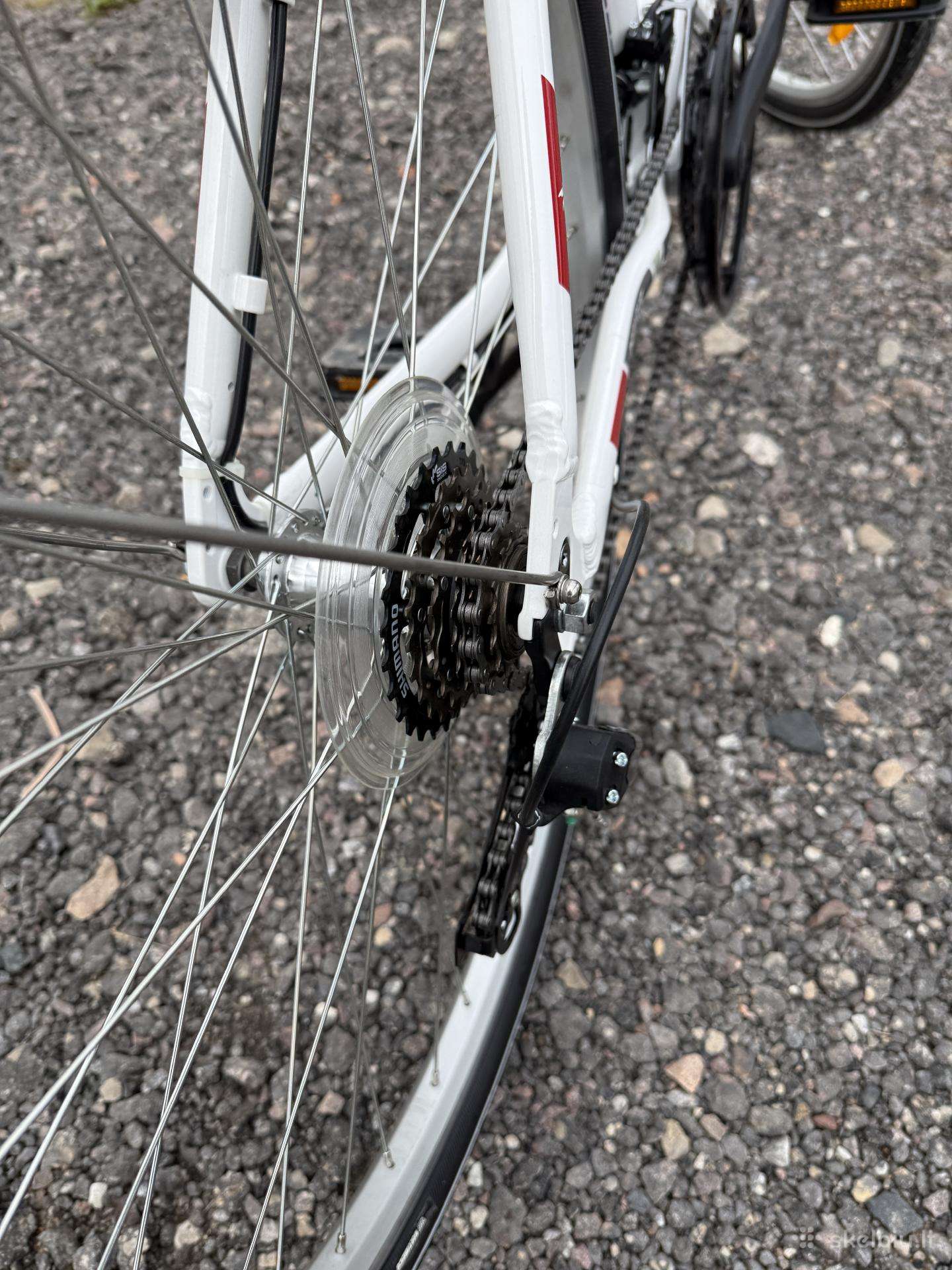City bike Pegasus
