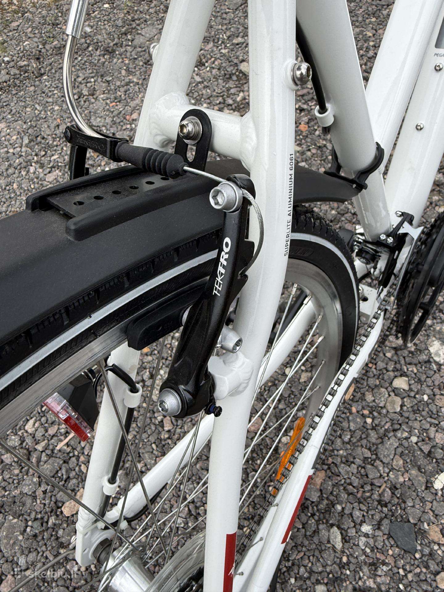 City bike Pegasus