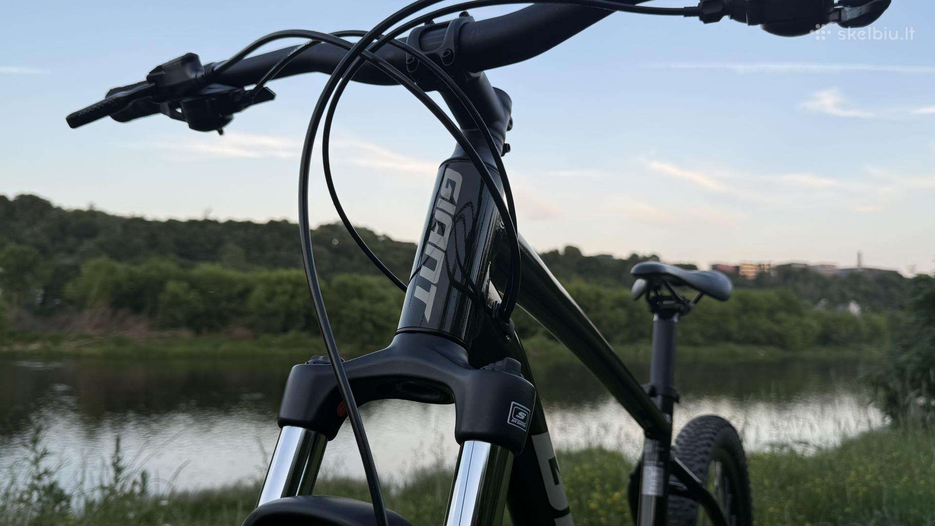 Mountain bike Giant 29″
