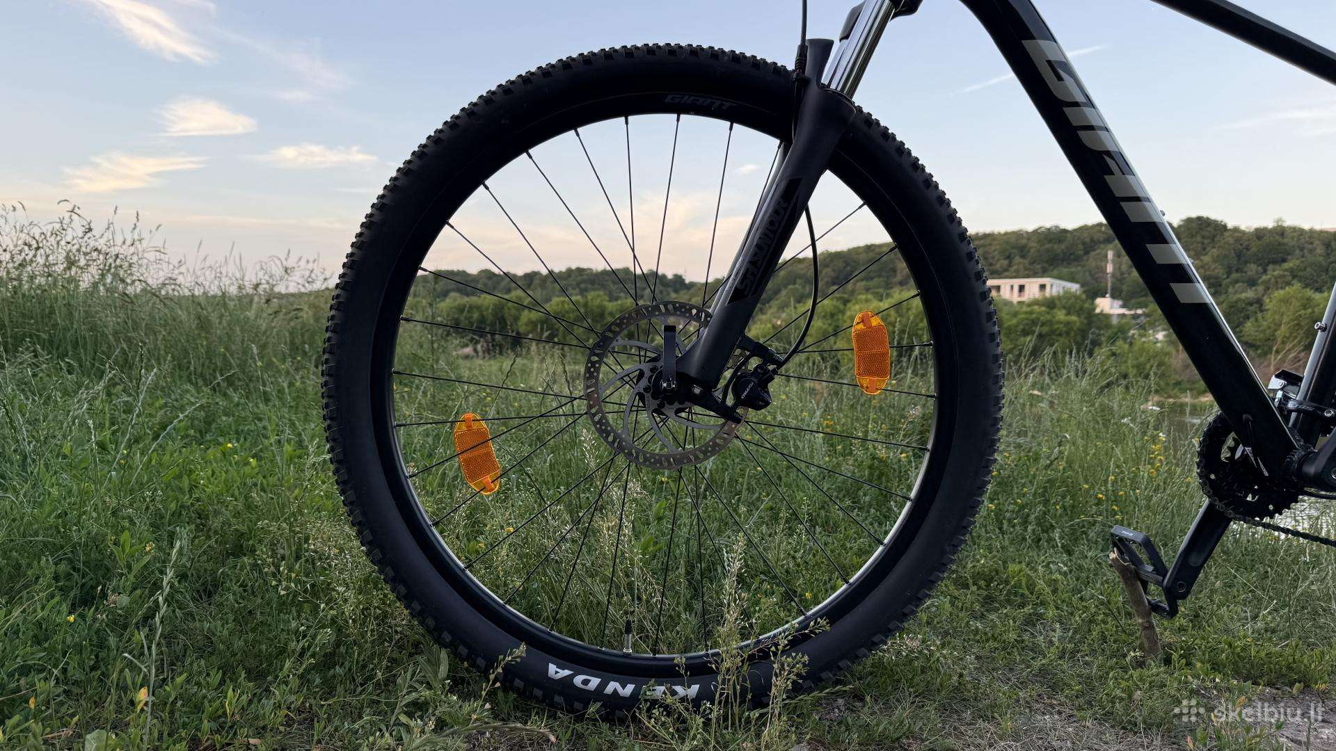 Mountain bike Giant 29″